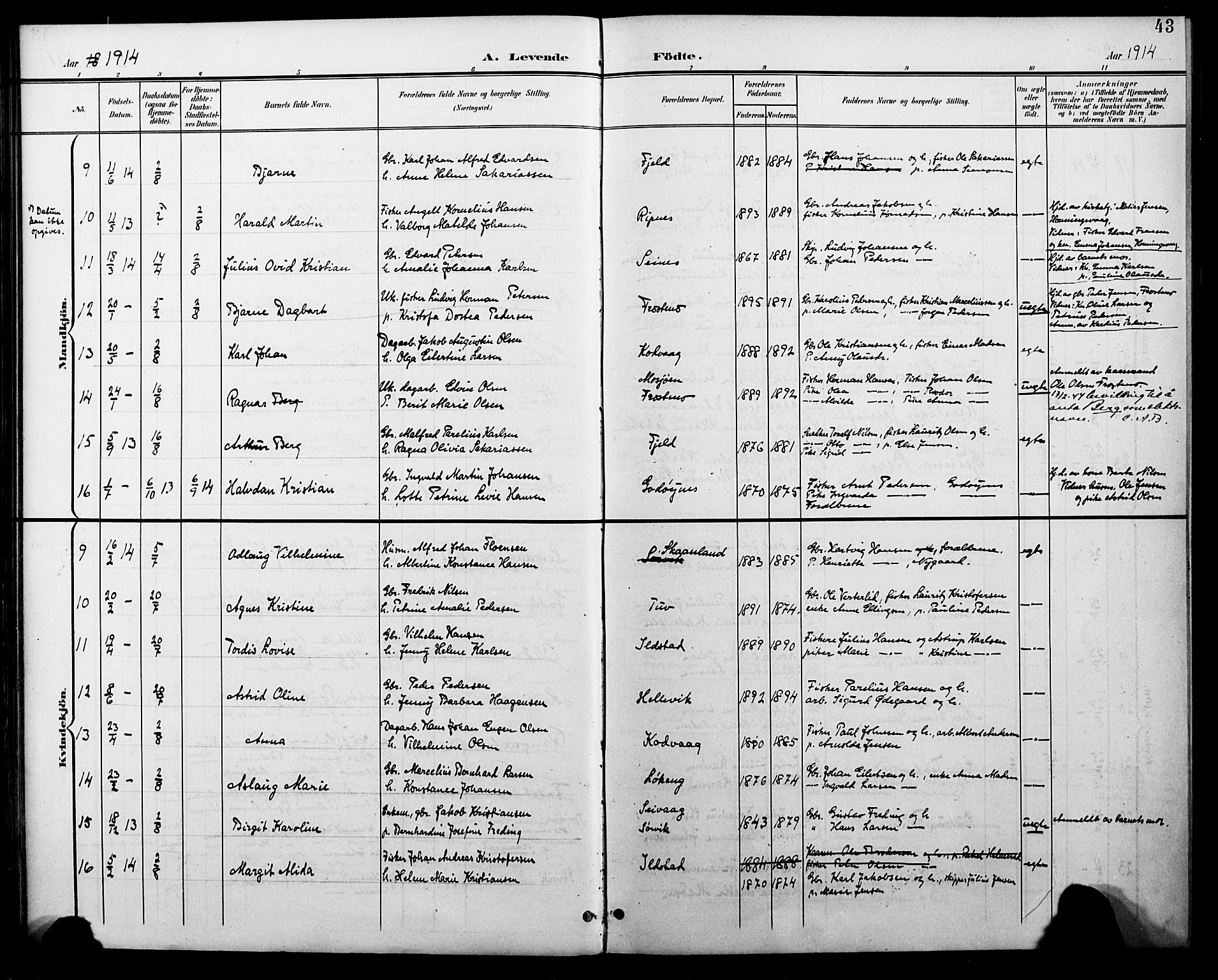 Ministerialprotokoller, klokkerbøker og fødselsregistre - Nordland, AV/SAT-A-1459/804/L0088: Parish register (copy) no. 804C01, 1901-1917, p. 43