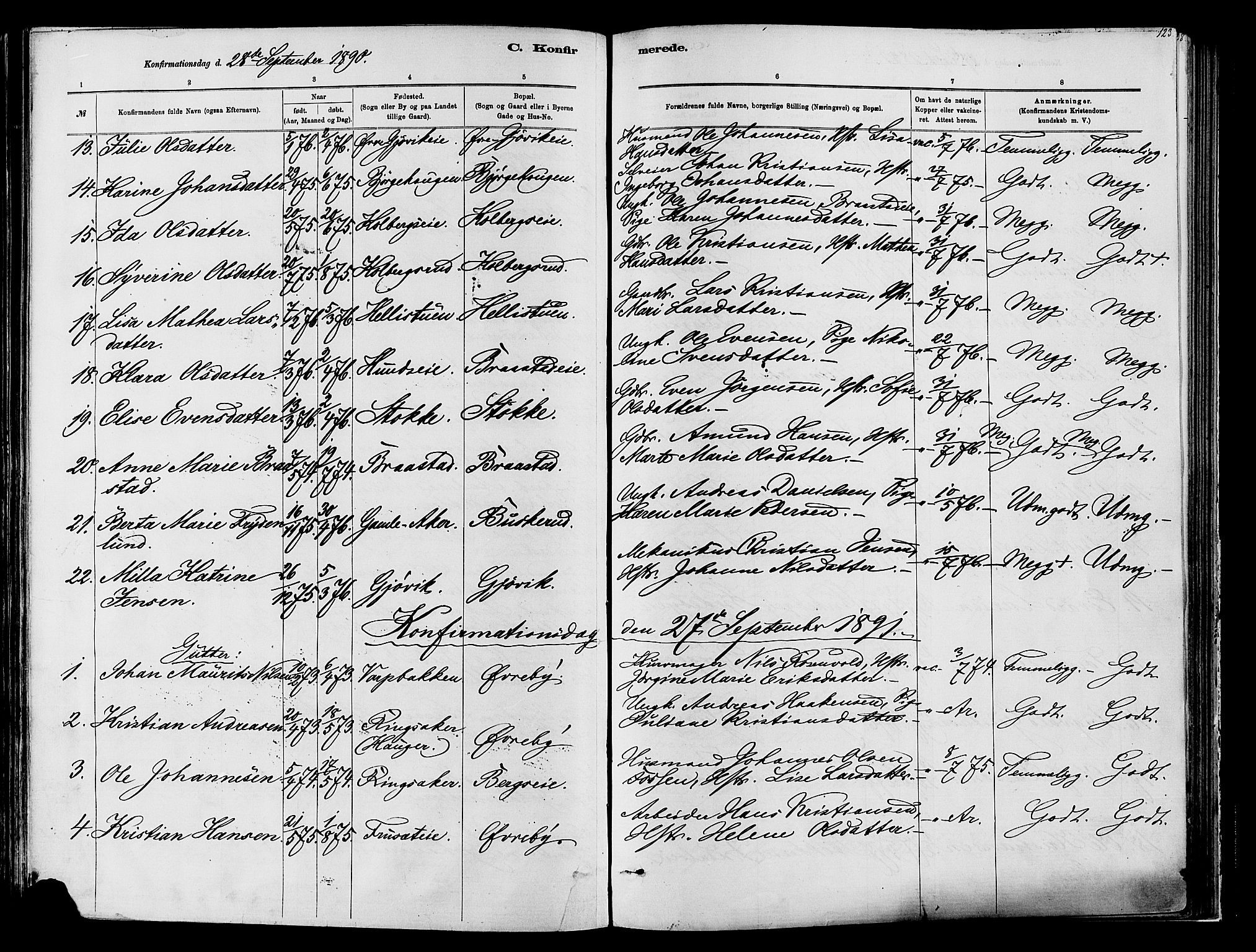 Vardal prestekontor, SAH/PREST-100/H/Ha/Haa/L0009: Parish register (official) no. 9, 1878-1892, p. 123