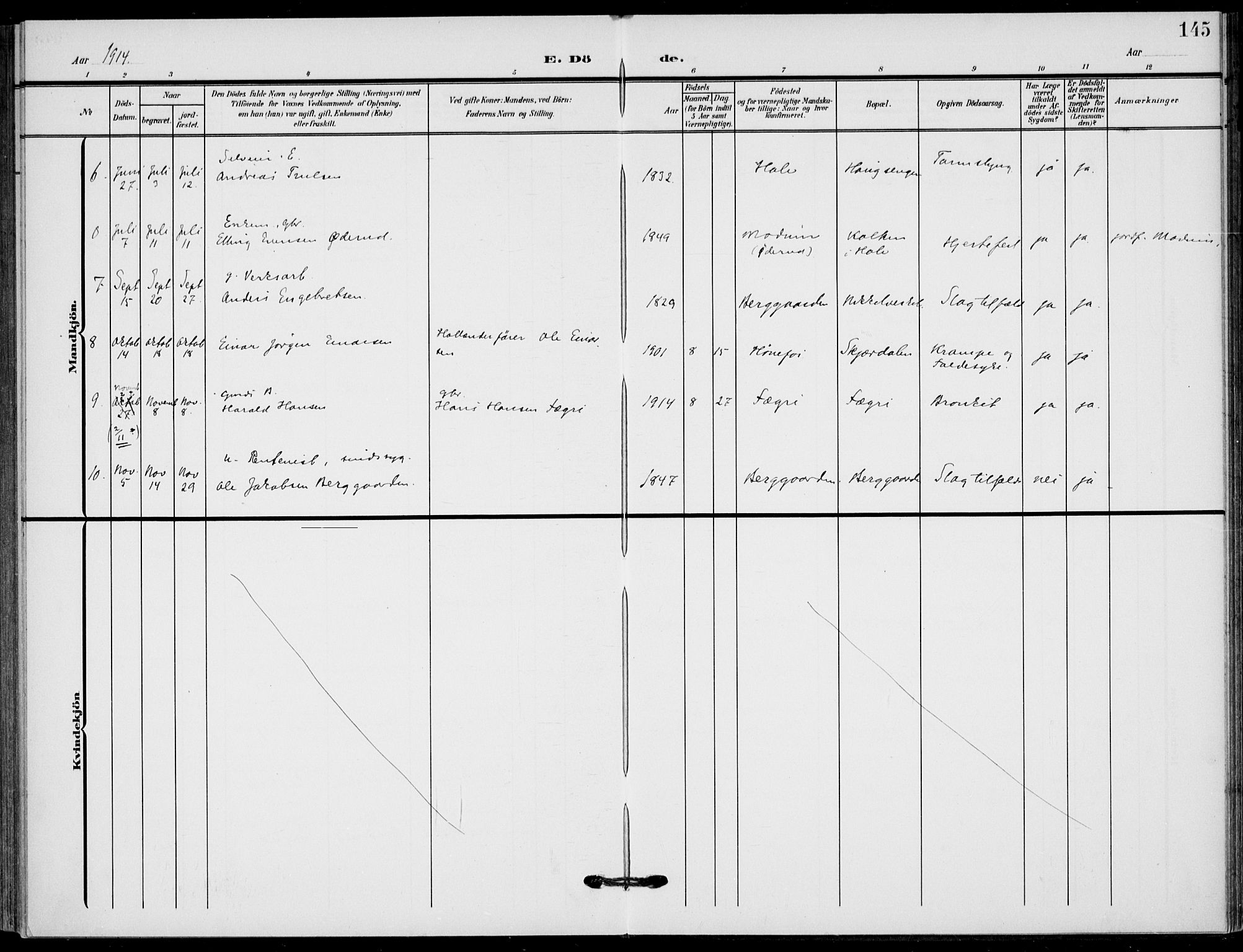 Hole kirkebøker, AV/SAKO-A-228/F/Fb/L0003: Parish register (official) no. II 3, 1906-1916, p. 145