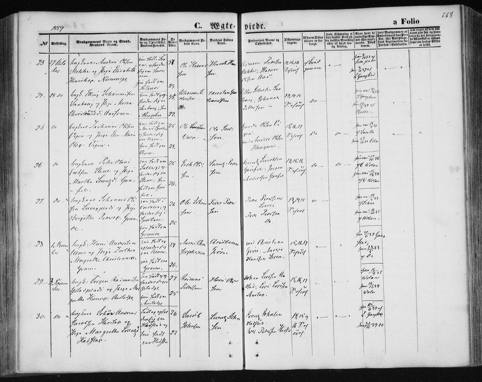 Ministerialprotokoller, klokkerbøker og fødselsregistre - Nord-Trøndelag, AV/SAT-A-1458/730/L0283: Parish register (official) no. 730A08, 1855-1865, p. 268