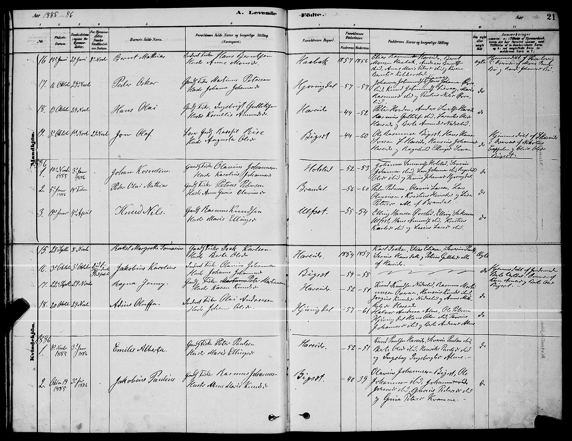 Ministerialprotokoller, klokkerbøker og fødselsregistre - Møre og Romsdal, AV/SAT-A-1454/510/L0125: Parish register (copy) no. 510C02, 1878-1900, p. 21