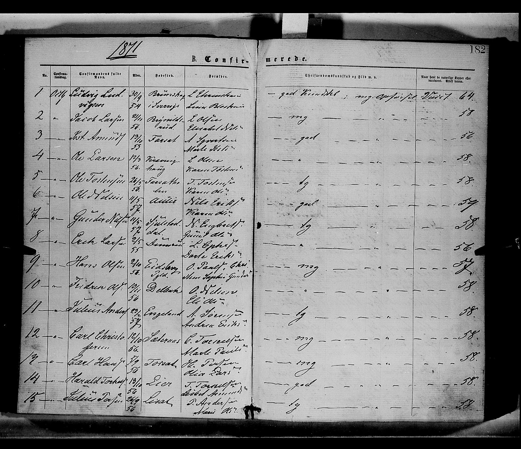 Sør-Odal prestekontor, SAH/PREST-030/H/Ha/Haa/L0004: Parish register (official) no. 4, 1870-1875, p. 182