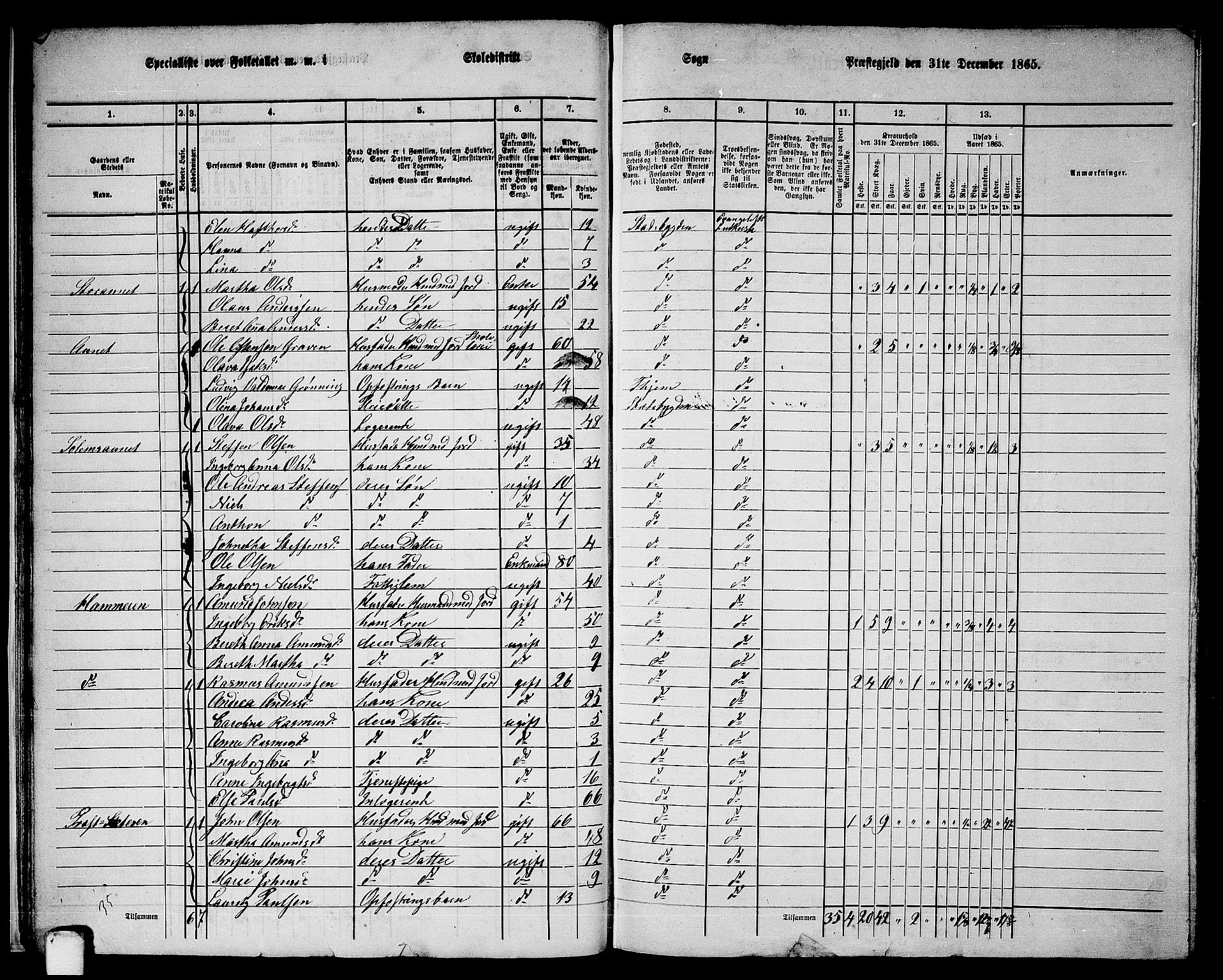 RA, 1865 census for Stadsbygd, 1865, p. 23