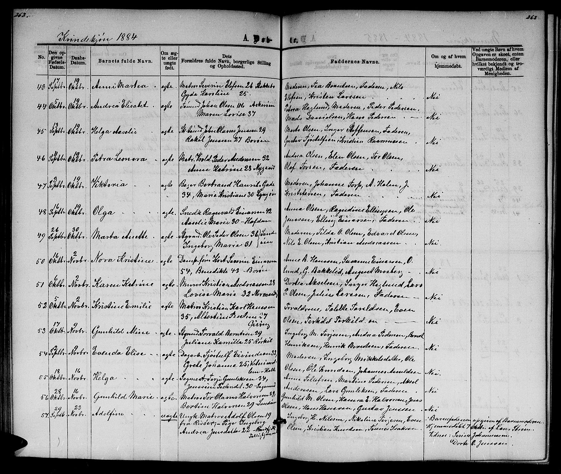 Dypvåg sokneprestkontor, SAK/1111-0007/F/Fb/Fba/L0012: Parish register (copy) no. B 12, 1872-1886, p. 262-263