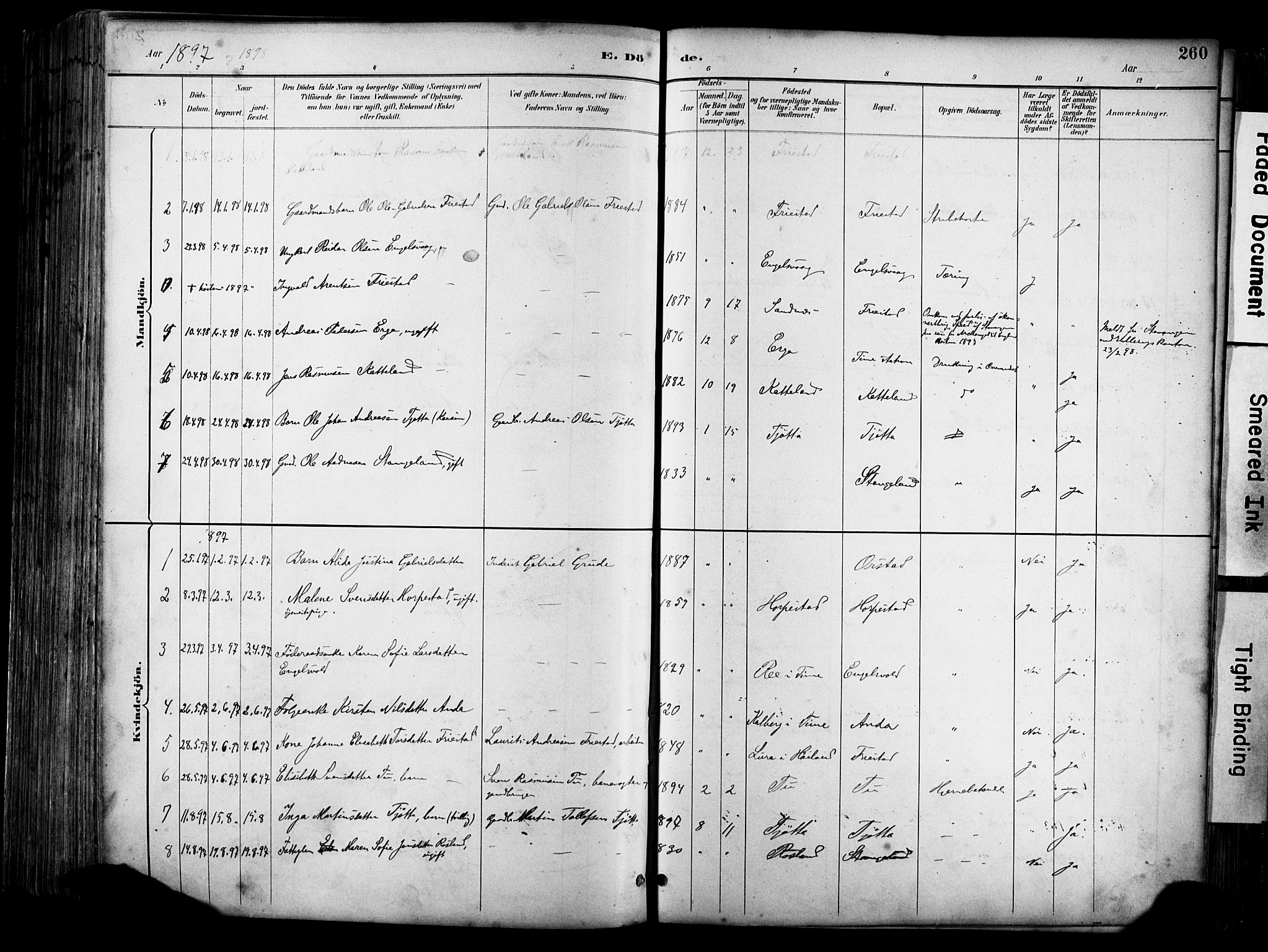 Klepp sokneprestkontor, SAST/A-101803/001/3/30BA/L0009: Parish register (official) no. A 7, 1886-1915, p. 260