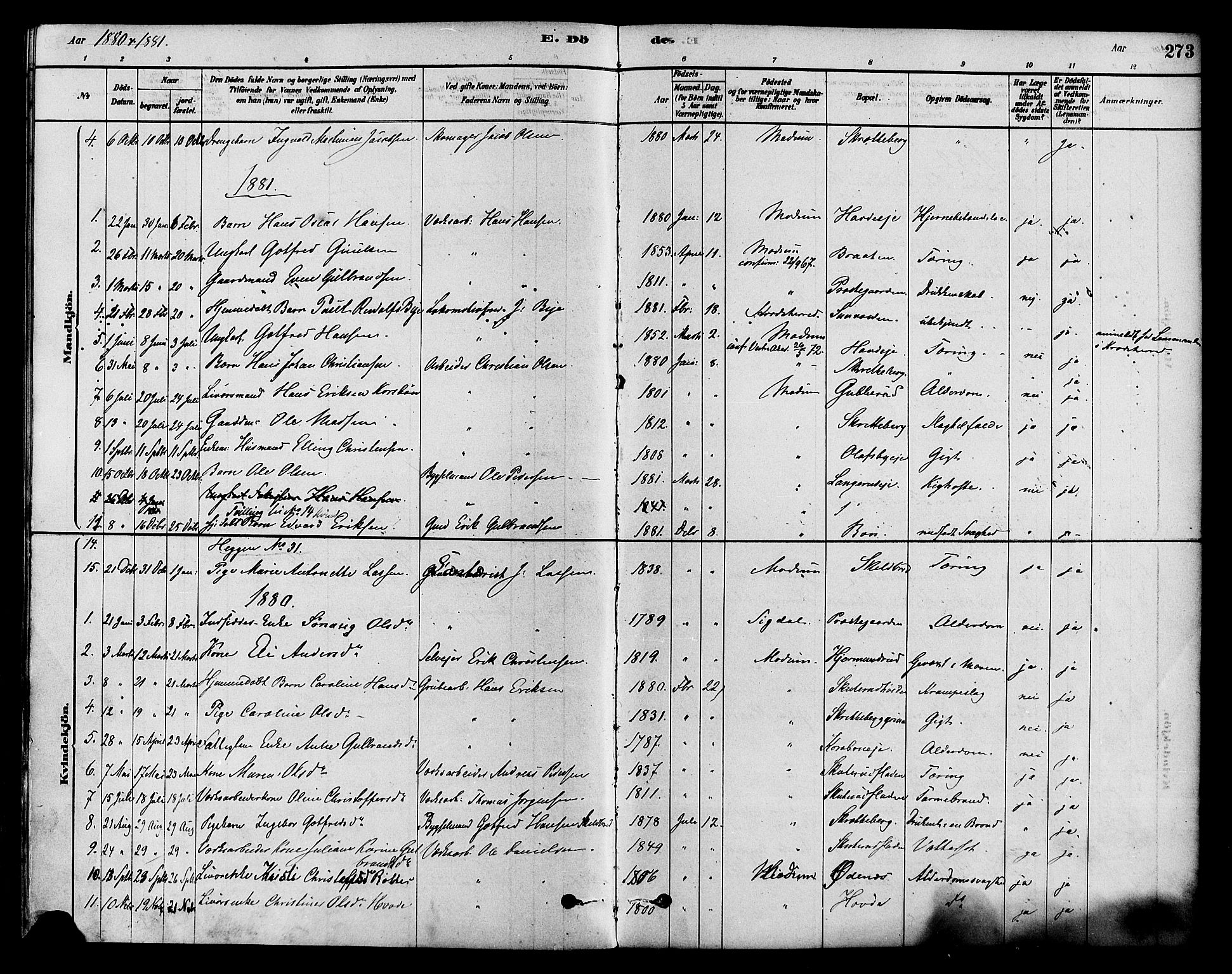 Modum kirkebøker, AV/SAKO-A-234/F/Fa/L0015: Parish register (official) no. 15 /2, 1877-1889, p. 273