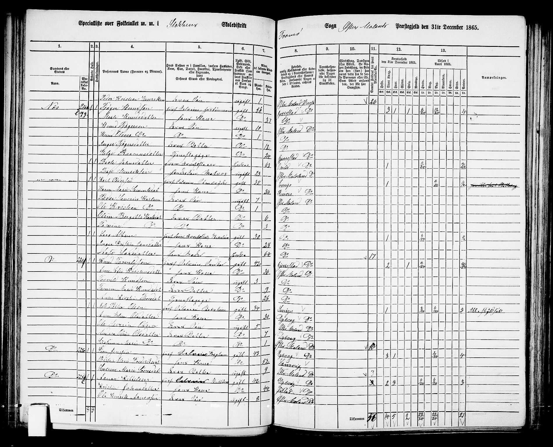 RA, 1865 census for Austre Moland, 1865, p. 138