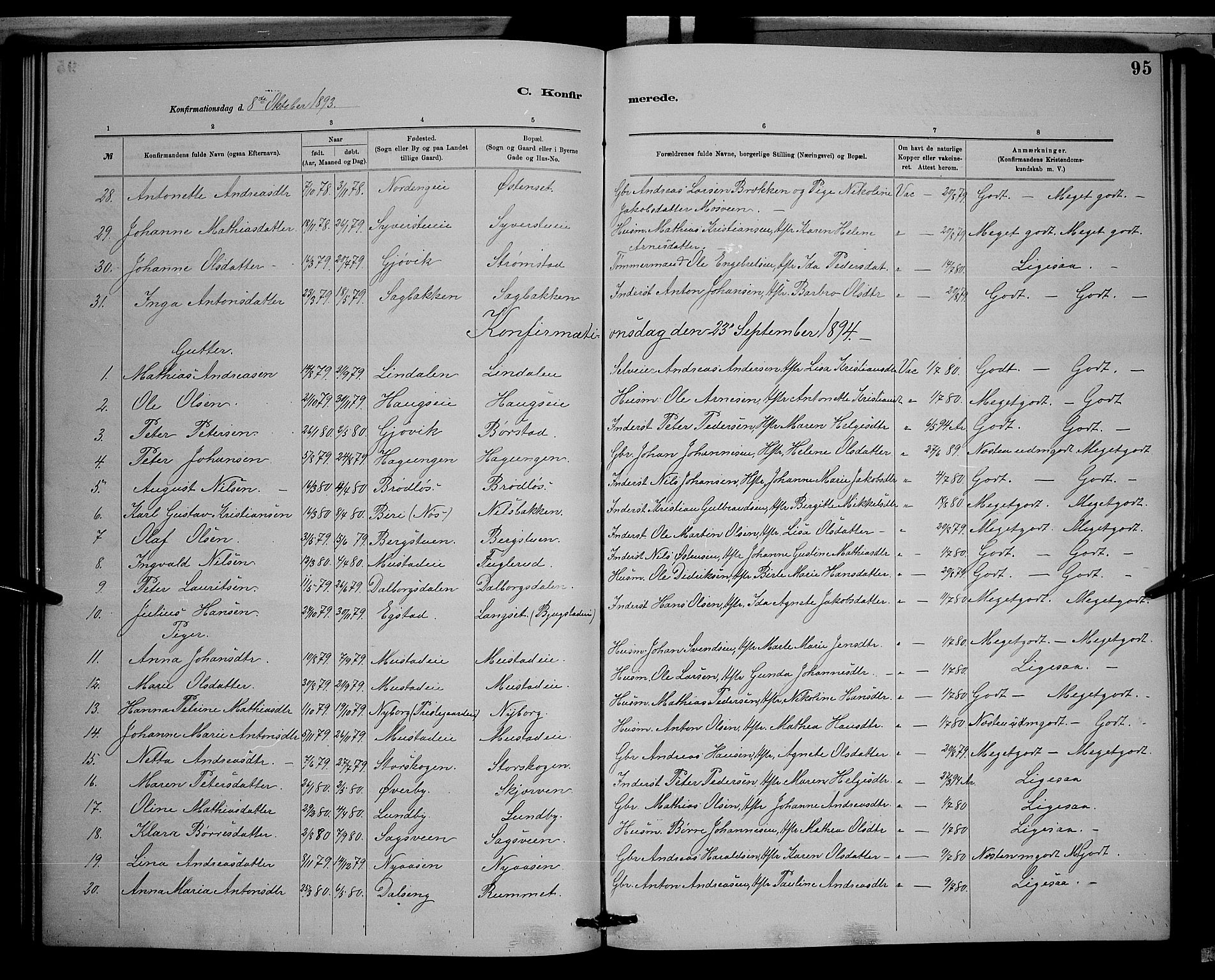 Vardal prestekontor, SAH/PREST-100/H/Ha/Hab/L0008: Parish register (copy) no. 8, 1881-1898, p. 95