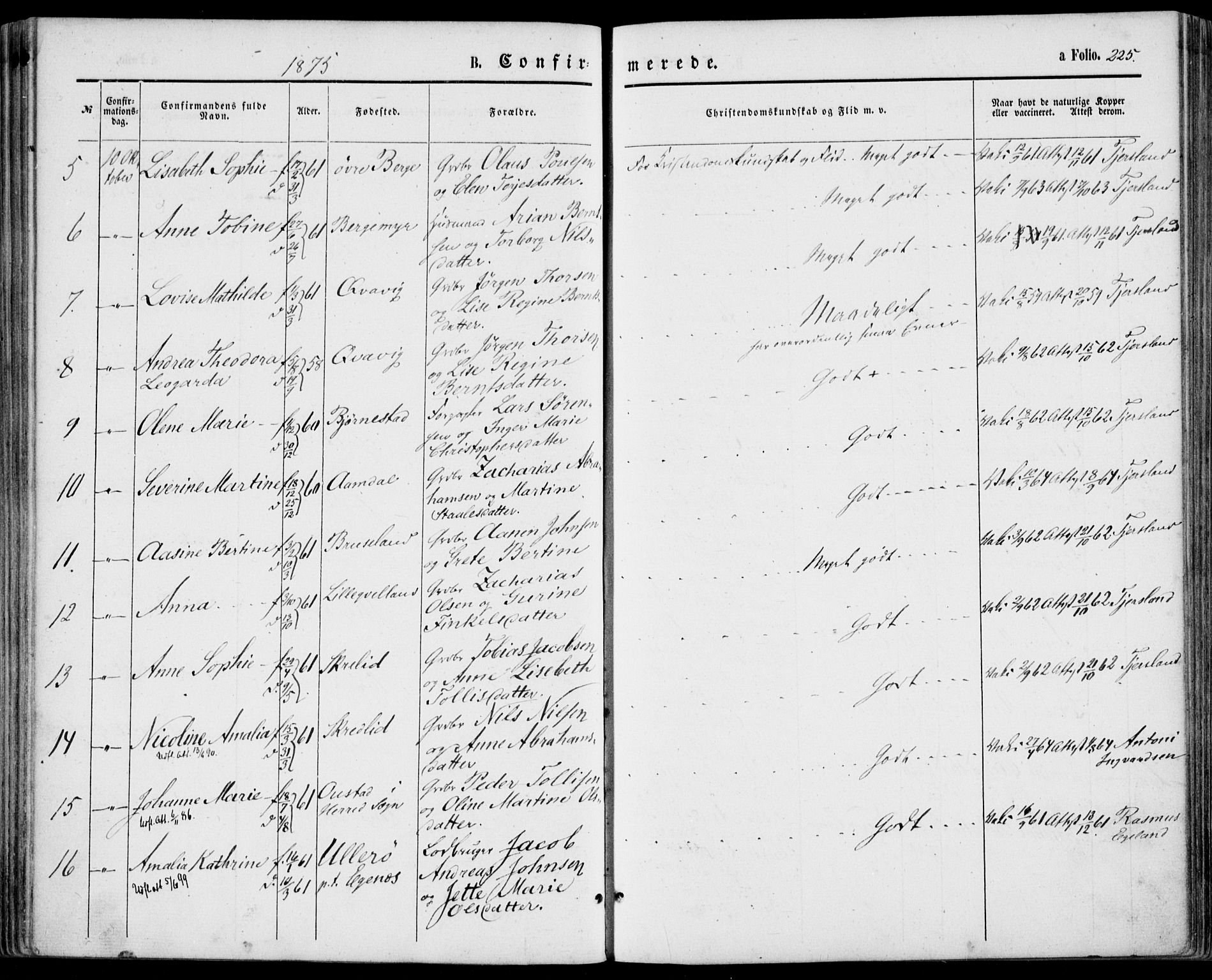 Lyngdal sokneprestkontor, AV/SAK-1111-0029/F/Fa/Fac/L0010: Parish register (official) no. A 10, 1865-1878, p. 225