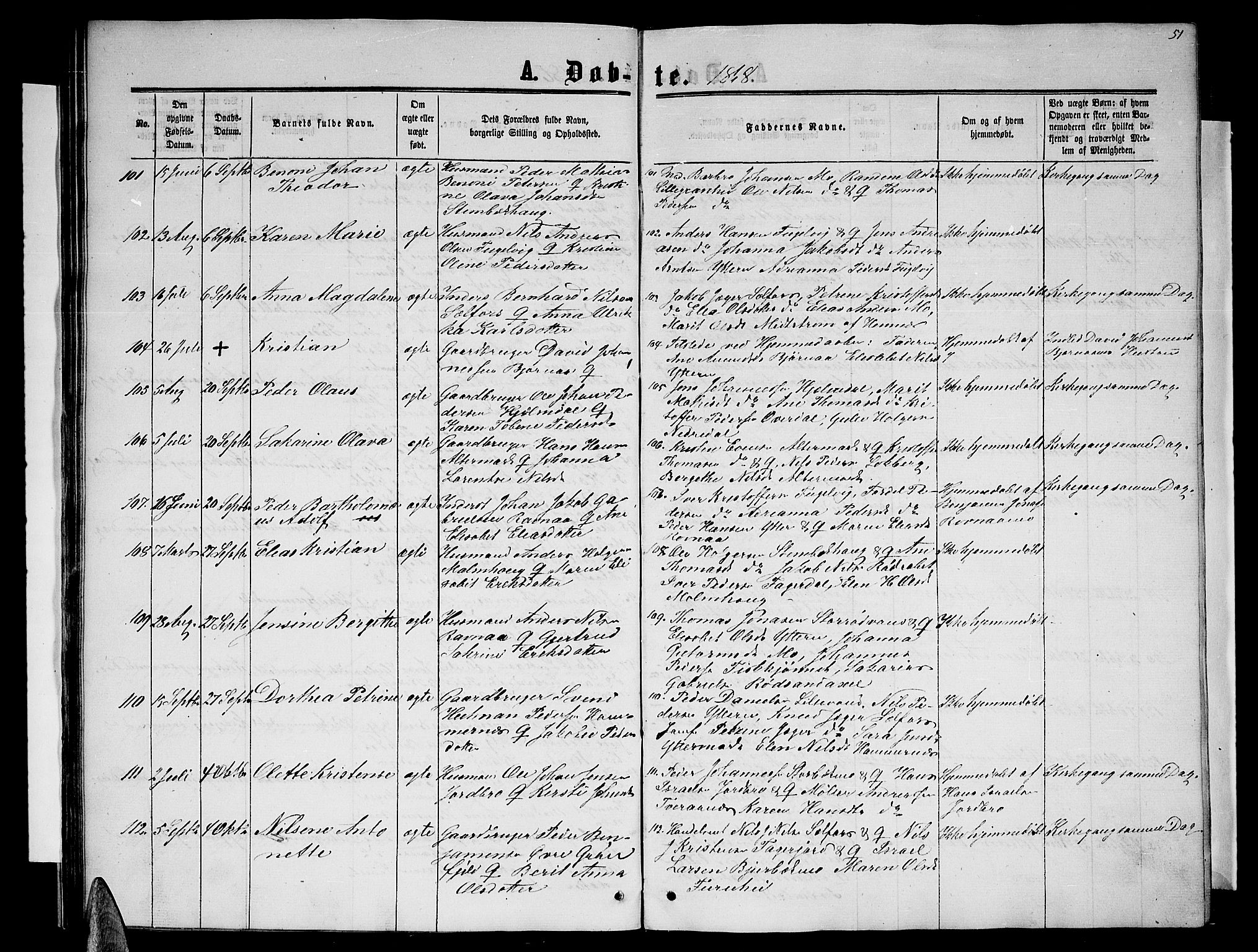 Ministerialprotokoller, klokkerbøker og fødselsregistre - Nordland, AV/SAT-A-1459/827/L0415: Parish register (copy) no. 827C04, 1864-1886, p. 51