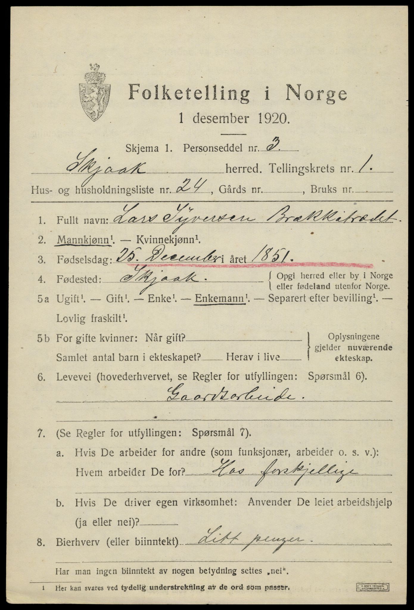 SAH, 1920 census for Skjåk, 1920, p. 1074