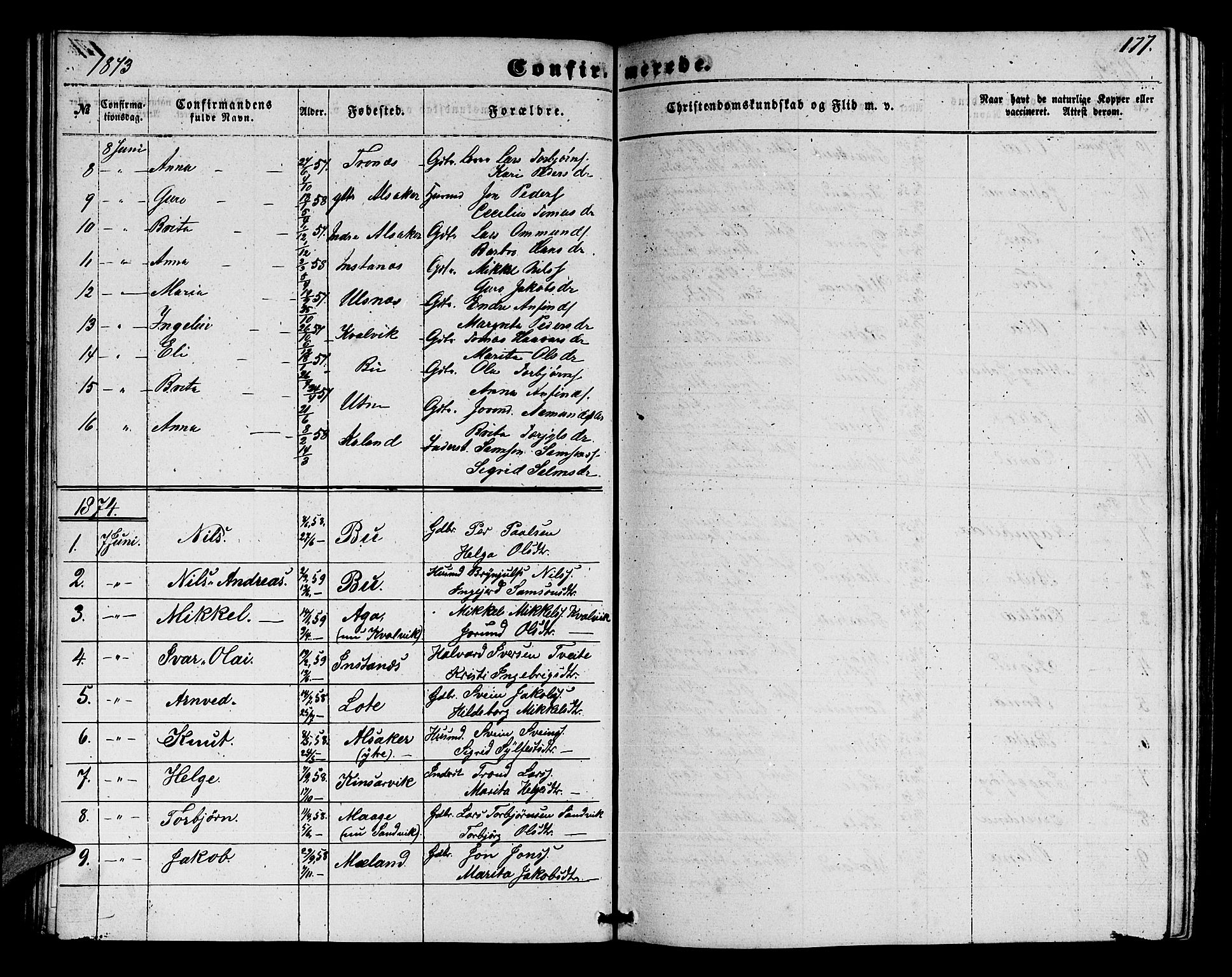 Ullensvang sokneprestembete, SAB/A-78701/H/Hab: Parish register (copy) no. E 6, 1857-1886, p. 177