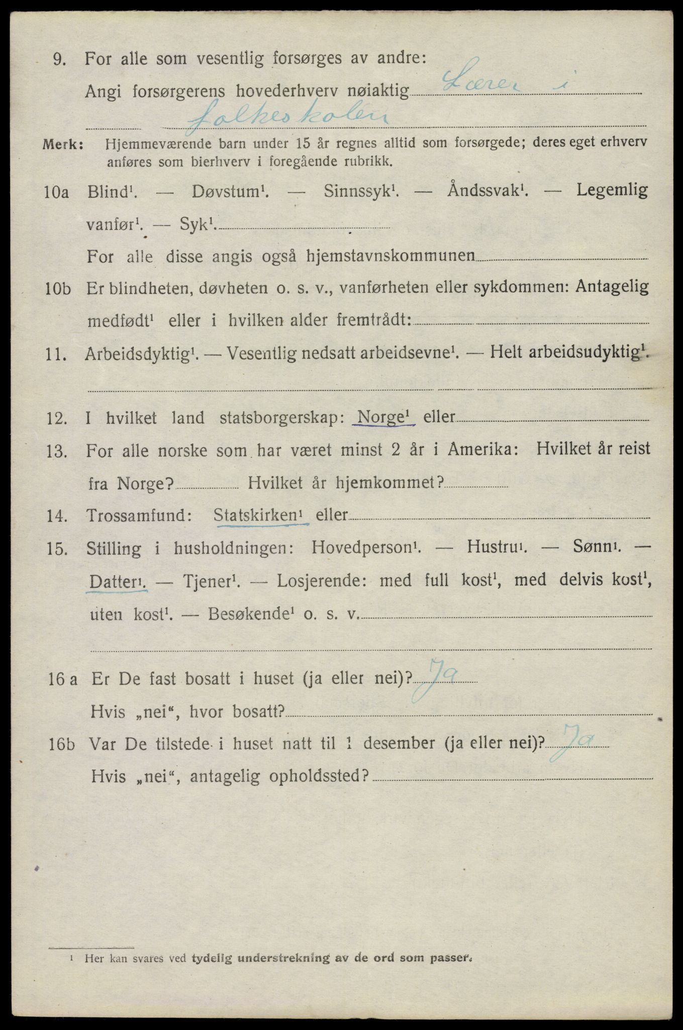 SAO, 1920 census for Våler, 1920, p. 919