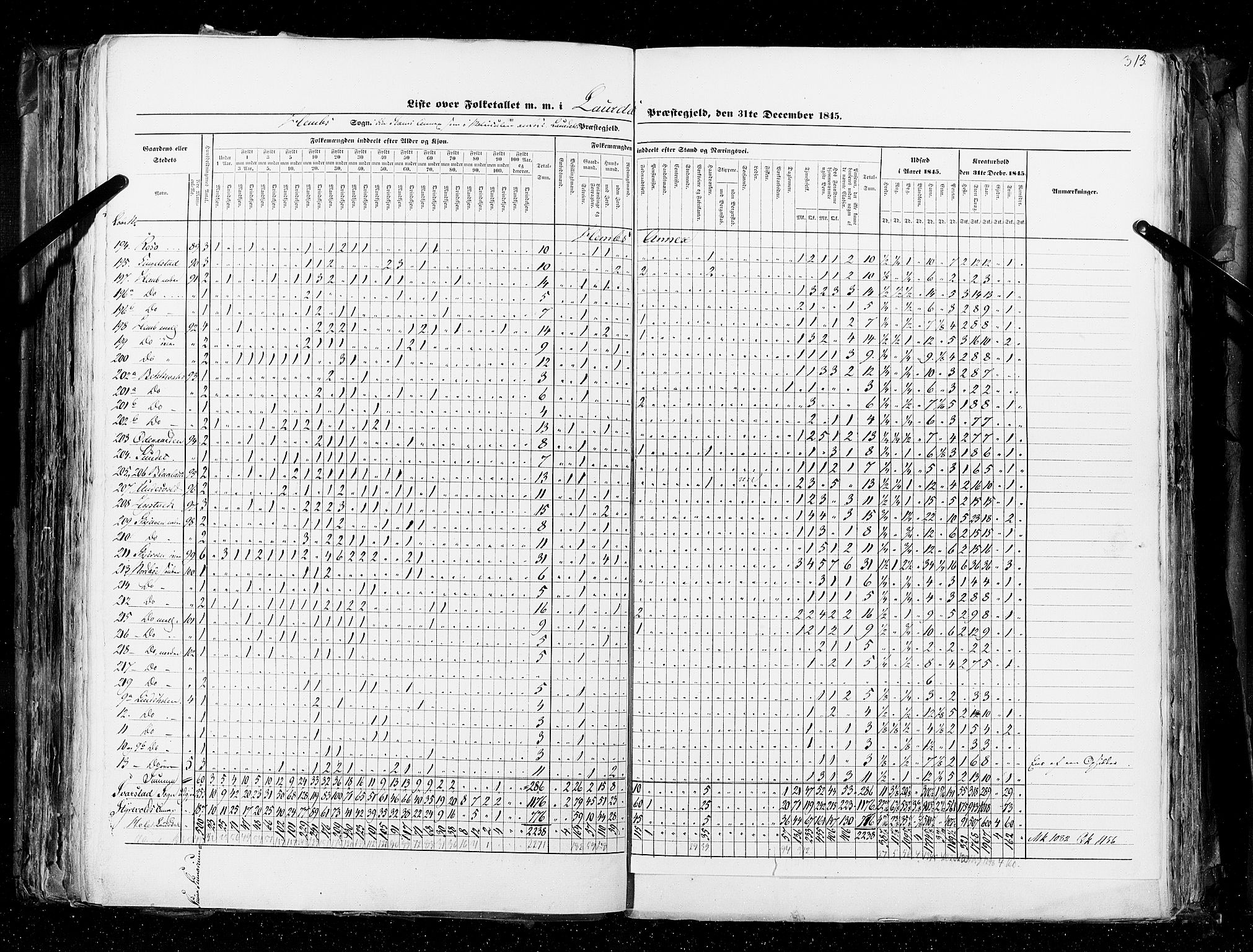 RA, Census 1845, vol. 4: Buskerud amt og Jarlsberg og Larvik amt, 1845, p. 313