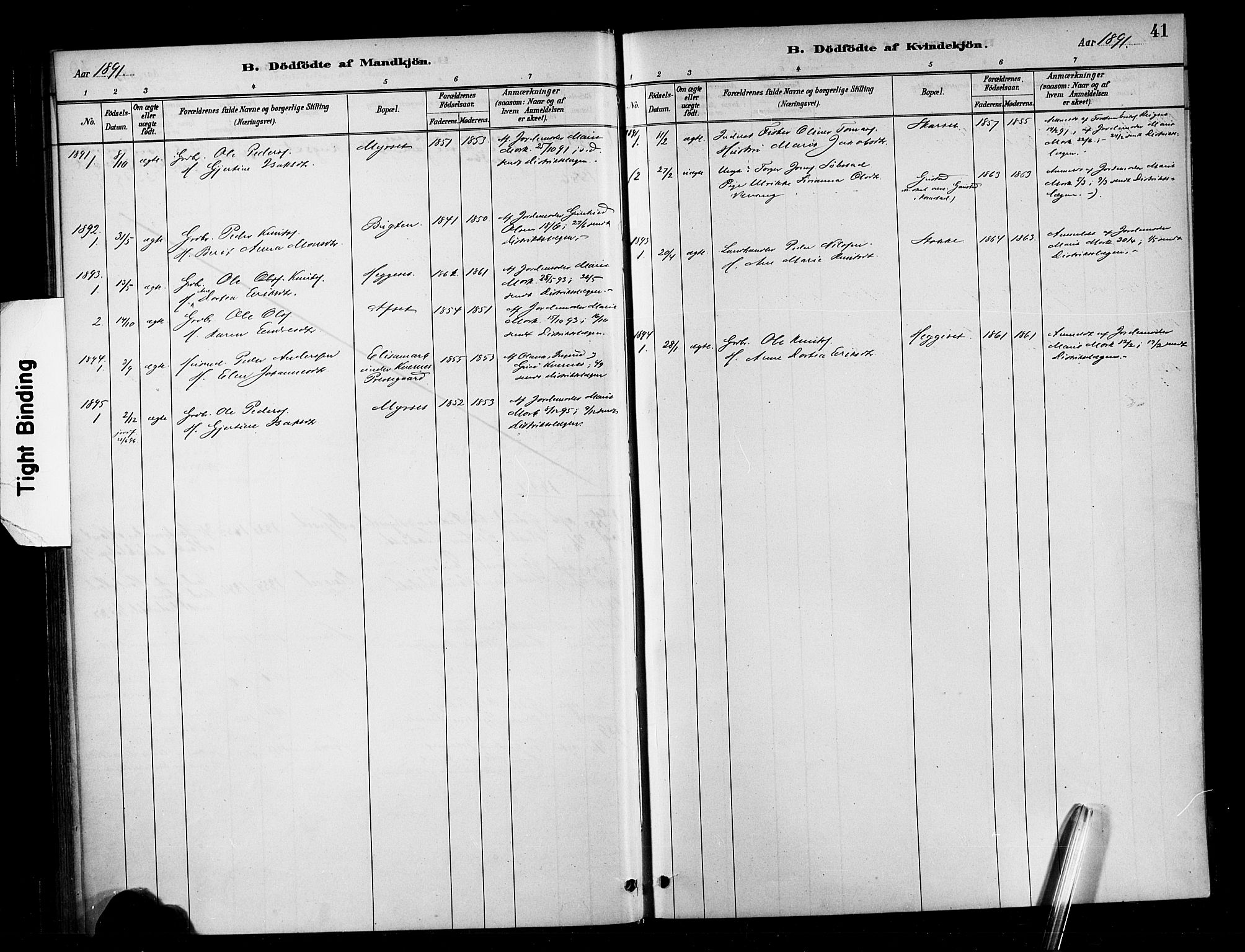 Ministerialprotokoller, klokkerbøker og fødselsregistre - Møre og Romsdal, SAT/A-1454/568/L0809: Parish register (official) no. 568A13, 1884-1900, p. 41
