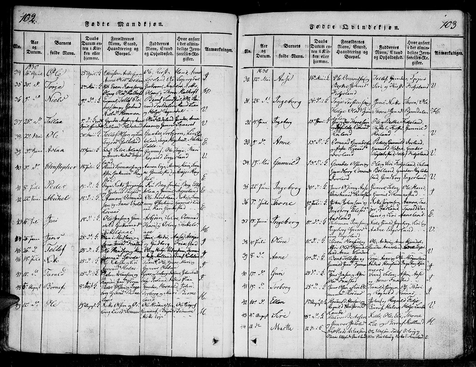 Evje sokneprestkontor, SAK/1111-0008/F/Fa/Faa/L0004: Parish register (official) no. A 4, 1816-1840, p. 102-103