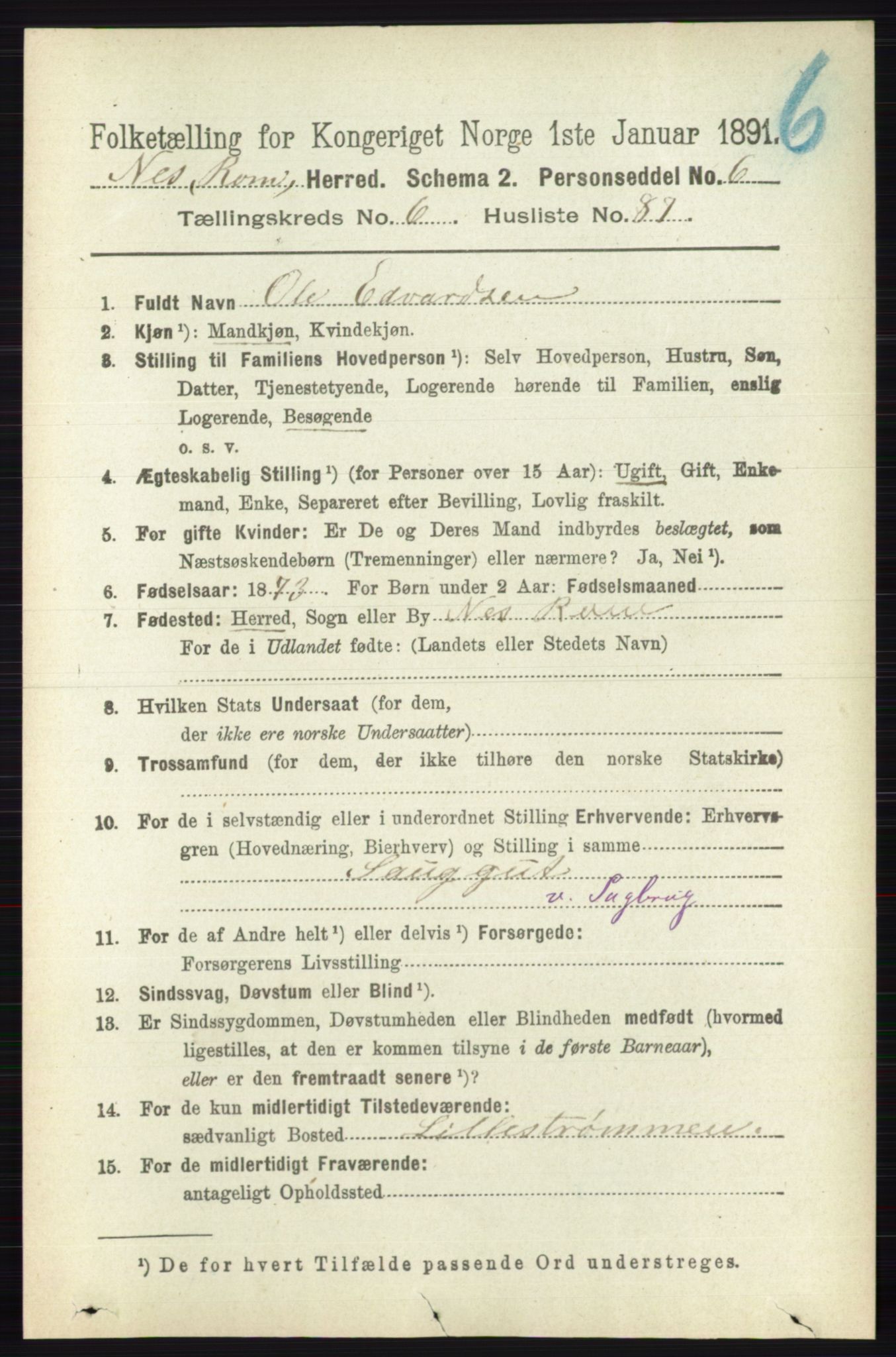RA, 1891 census for 0236 Nes, 1891, p. 3921