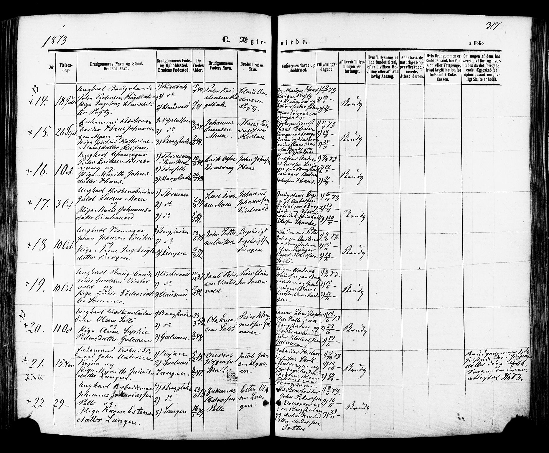 Ministerialprotokoller, klokkerbøker og fødselsregistre - Sør-Trøndelag, AV/SAT-A-1456/681/L0932: Parish register (official) no. 681A10, 1860-1878, p. 317