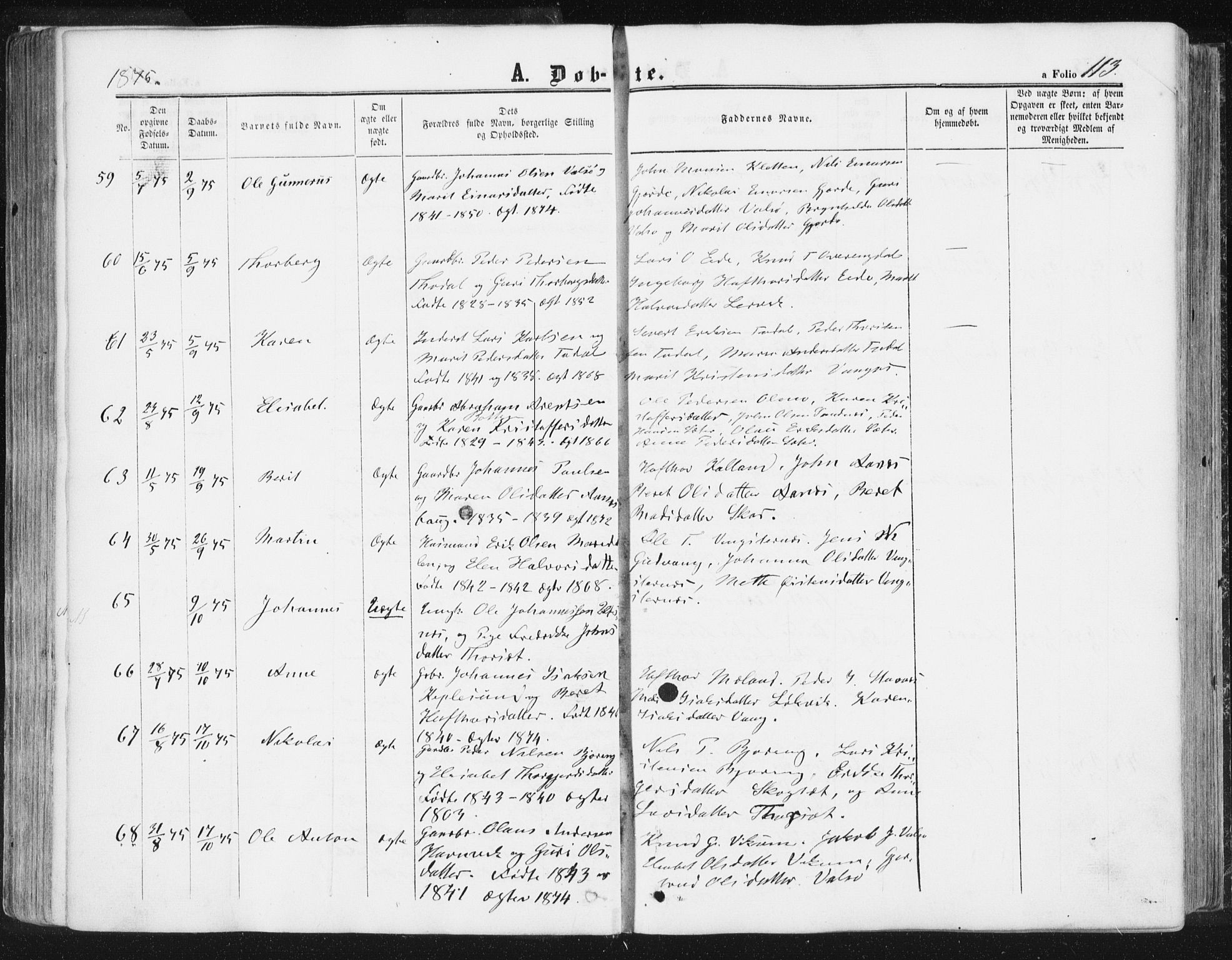 Ministerialprotokoller, klokkerbøker og fødselsregistre - Møre og Romsdal, AV/SAT-A-1454/578/L0905: Parish register (official) no. 578A04, 1859-1877, p. 113