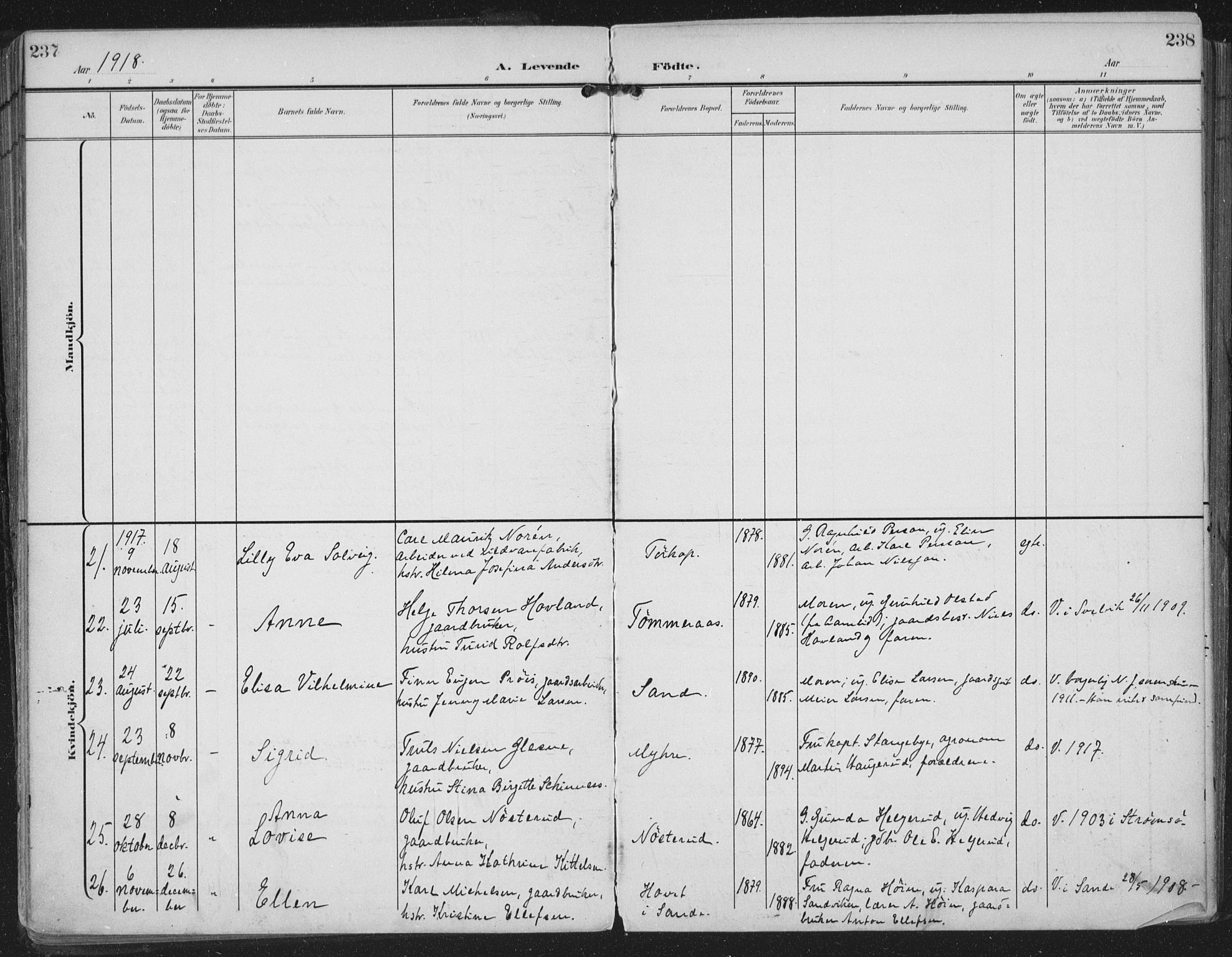 Strømm kirkebøker, AV/SAKO-A-322/F/Fa/L0005: Parish register (official) no. I 5, 1898-1919, p. 237-238