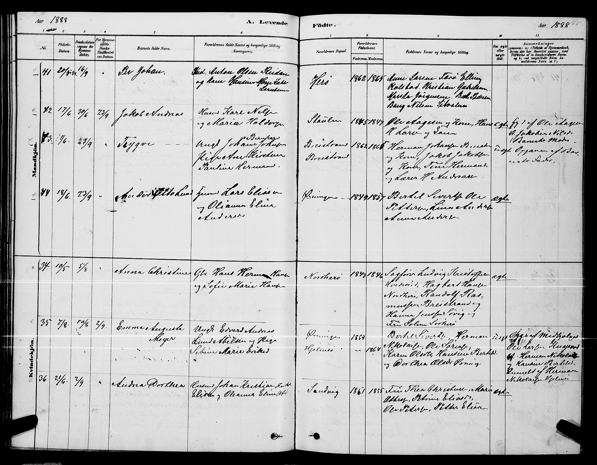 Ministerialprotokoller, klokkerbøker og fødselsregistre - Nordland, SAT/A-1459/834/L0513: Parish register (copy) no. 834C04, 1877-1892, p. 165