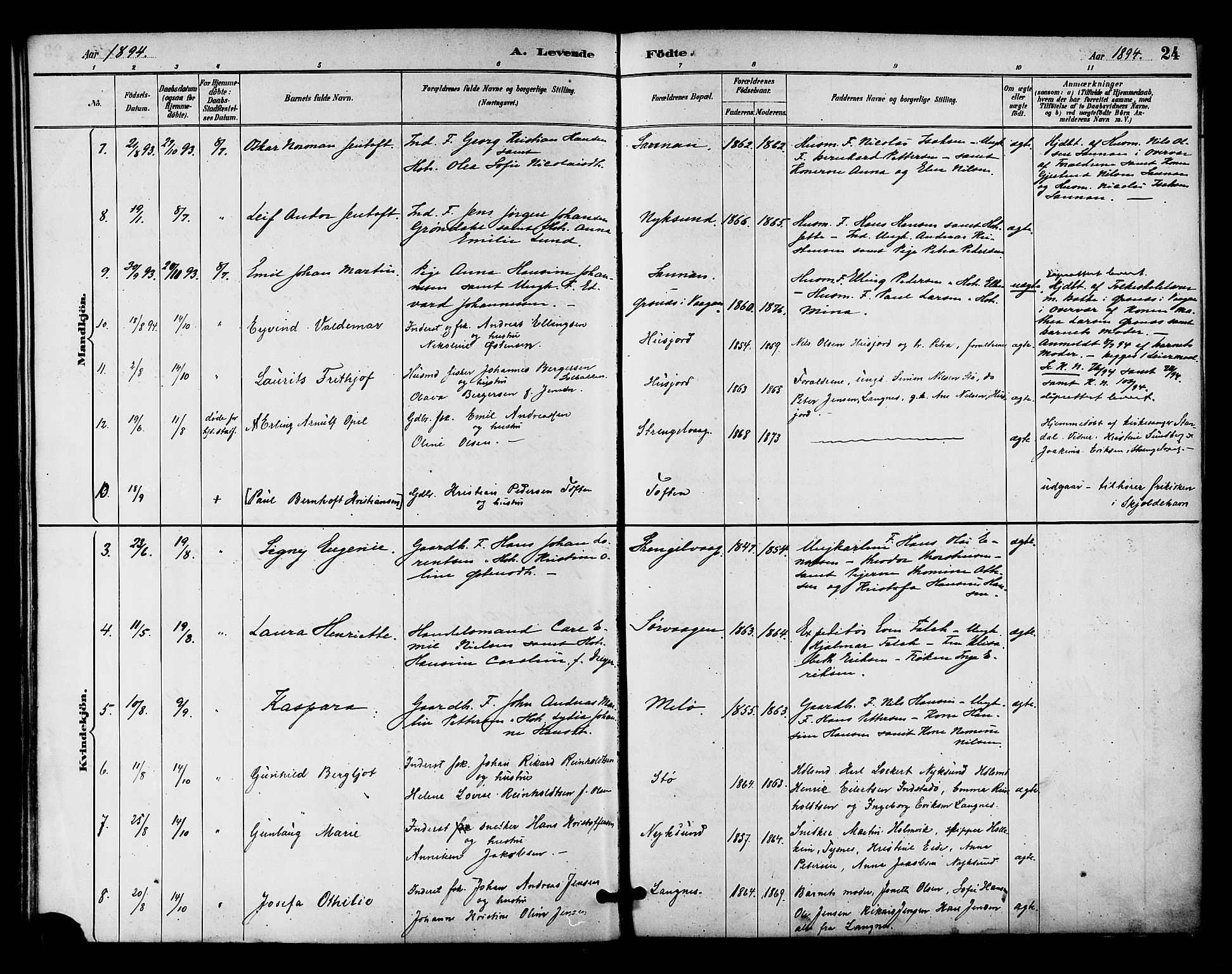 Ministerialprotokoller, klokkerbøker og fødselsregistre - Nordland, AV/SAT-A-1459/894/L1355: Parish register (official) no. 894A01, 1885-1896, p. 24