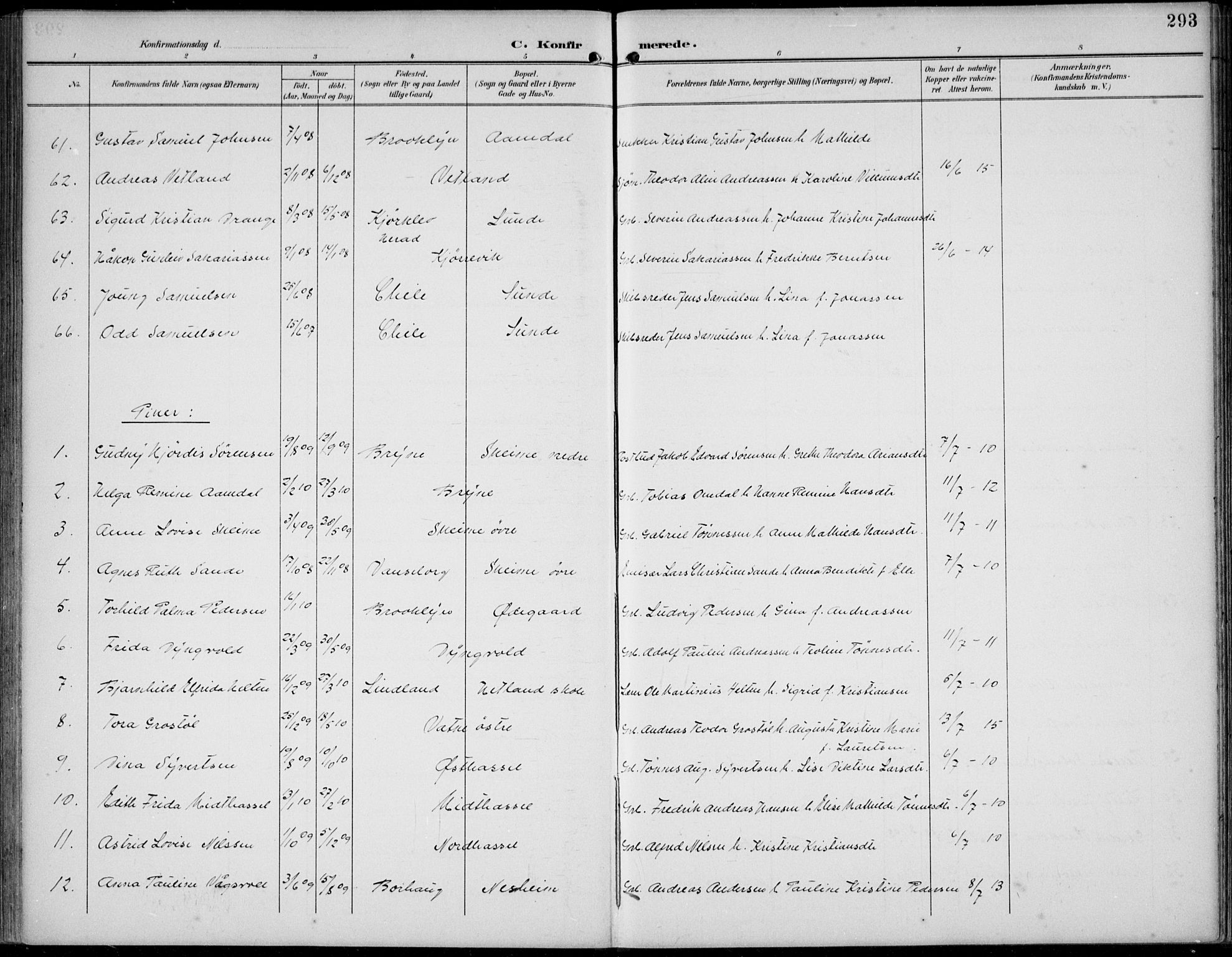 Lista sokneprestkontor, AV/SAK-1111-0027/F/Fb/L0005: Parish register (copy) no. B 5, 1892-1923, p. 293