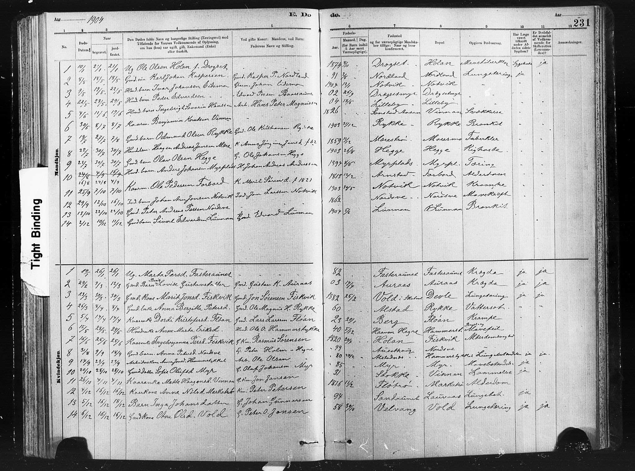 Ministerialprotokoller, klokkerbøker og fødselsregistre - Nord-Trøndelag, SAT/A-1458/712/L0103: Parish register (copy) no. 712C01, 1878-1917, p. 231