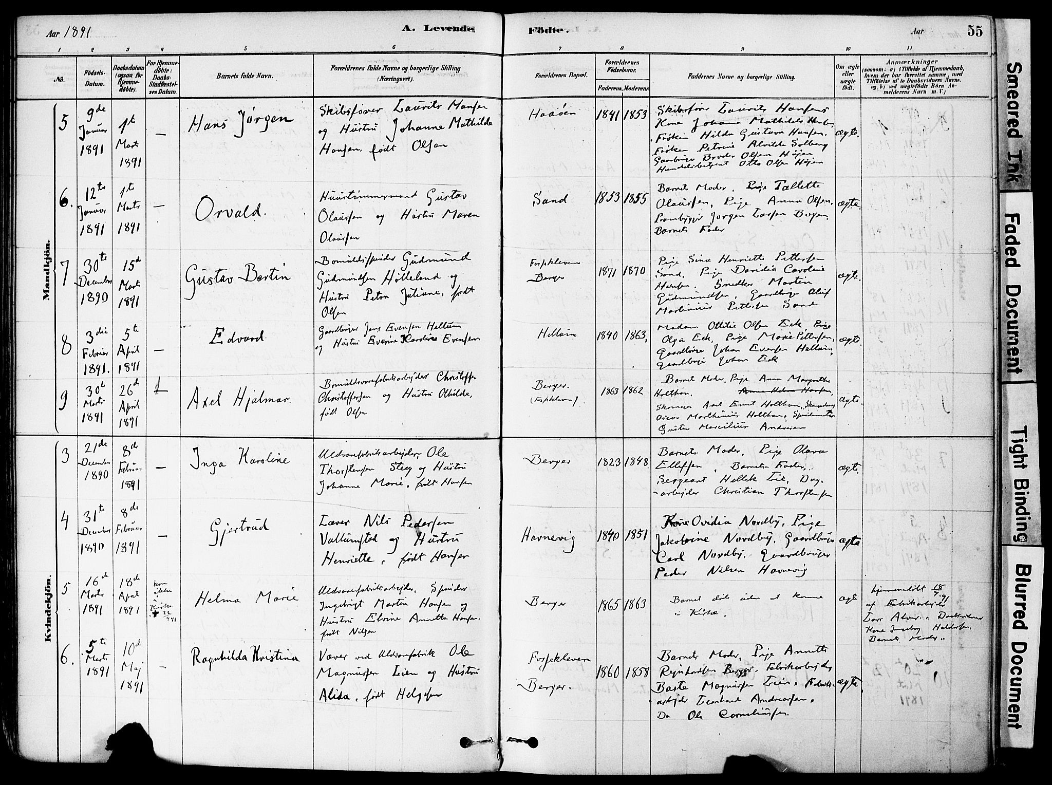 Strømm kirkebøker, AV/SAKO-A-322/F/Fa/L0004: Parish register (official) no. I 4, 1878-1899, p. 55