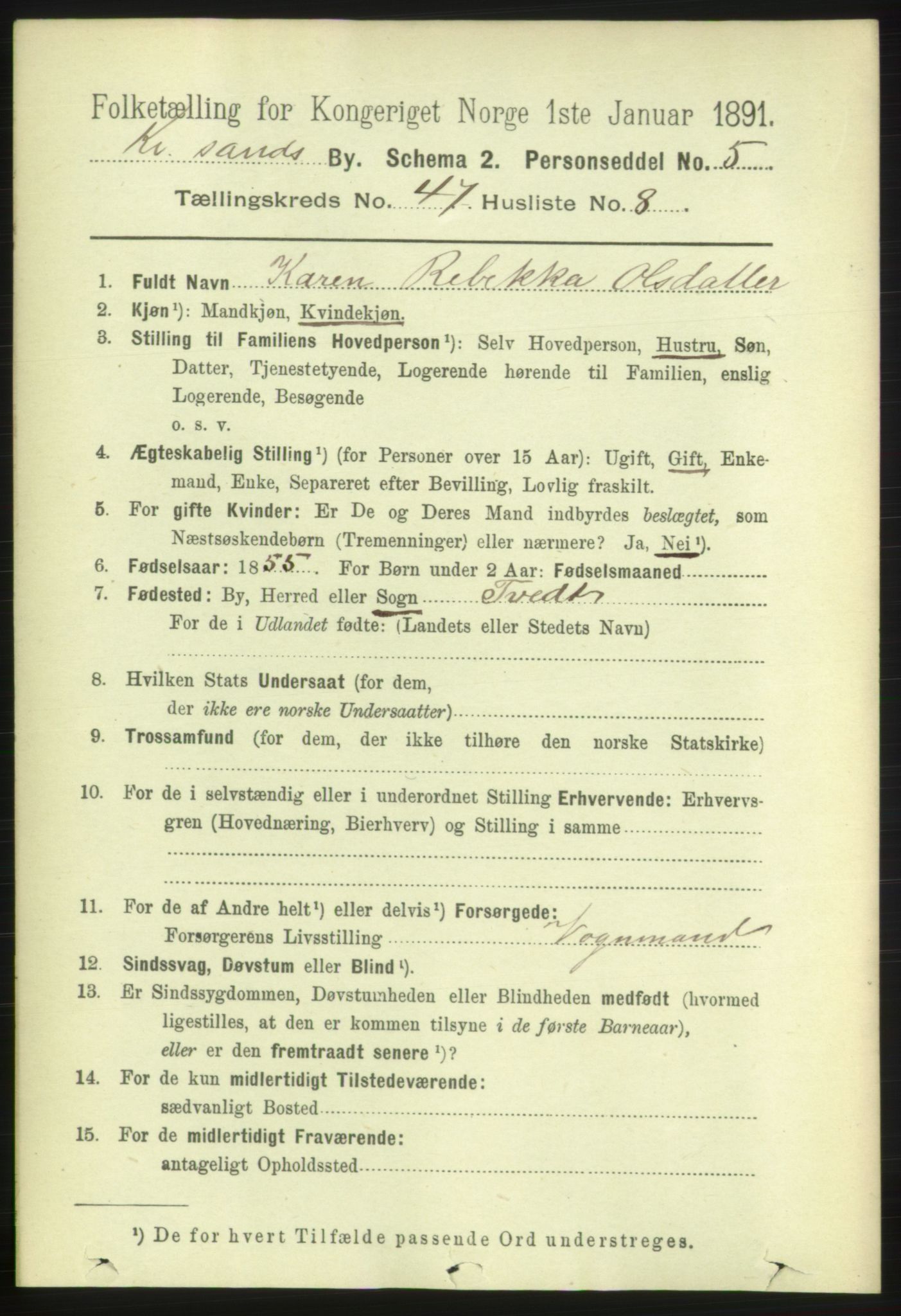 RA, 1891 census for 1001 Kristiansand, 1891, p. 14669