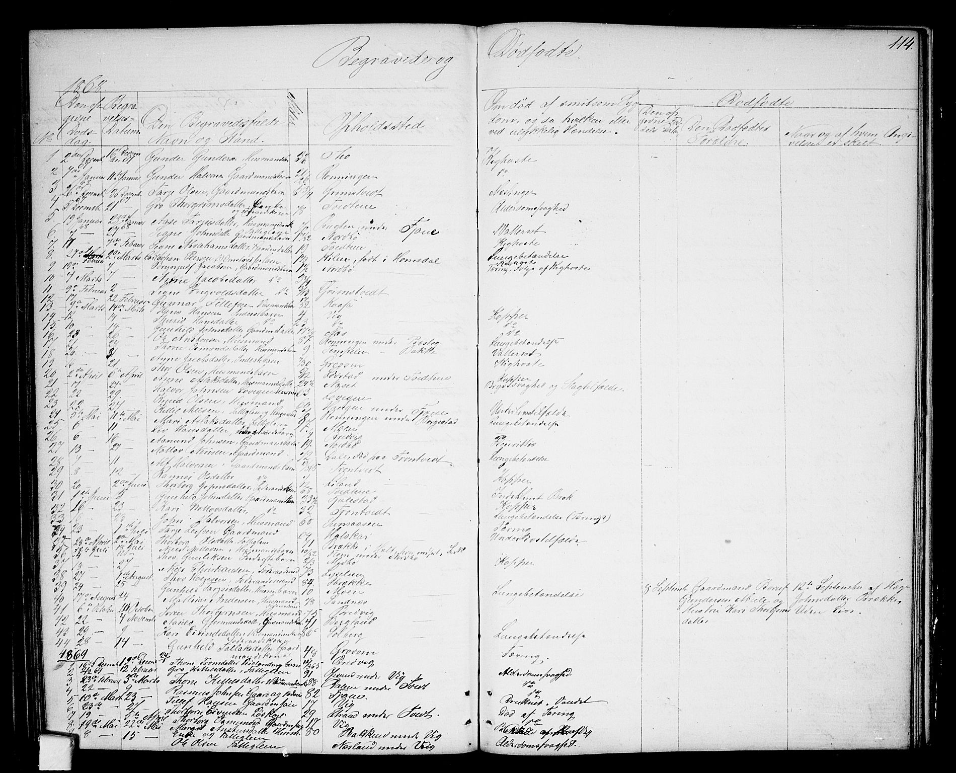 Nissedal kirkebøker, SAKO/A-288/G/Ga/L0002: Parish register (copy) no. I 2, 1861-1887, p. 114