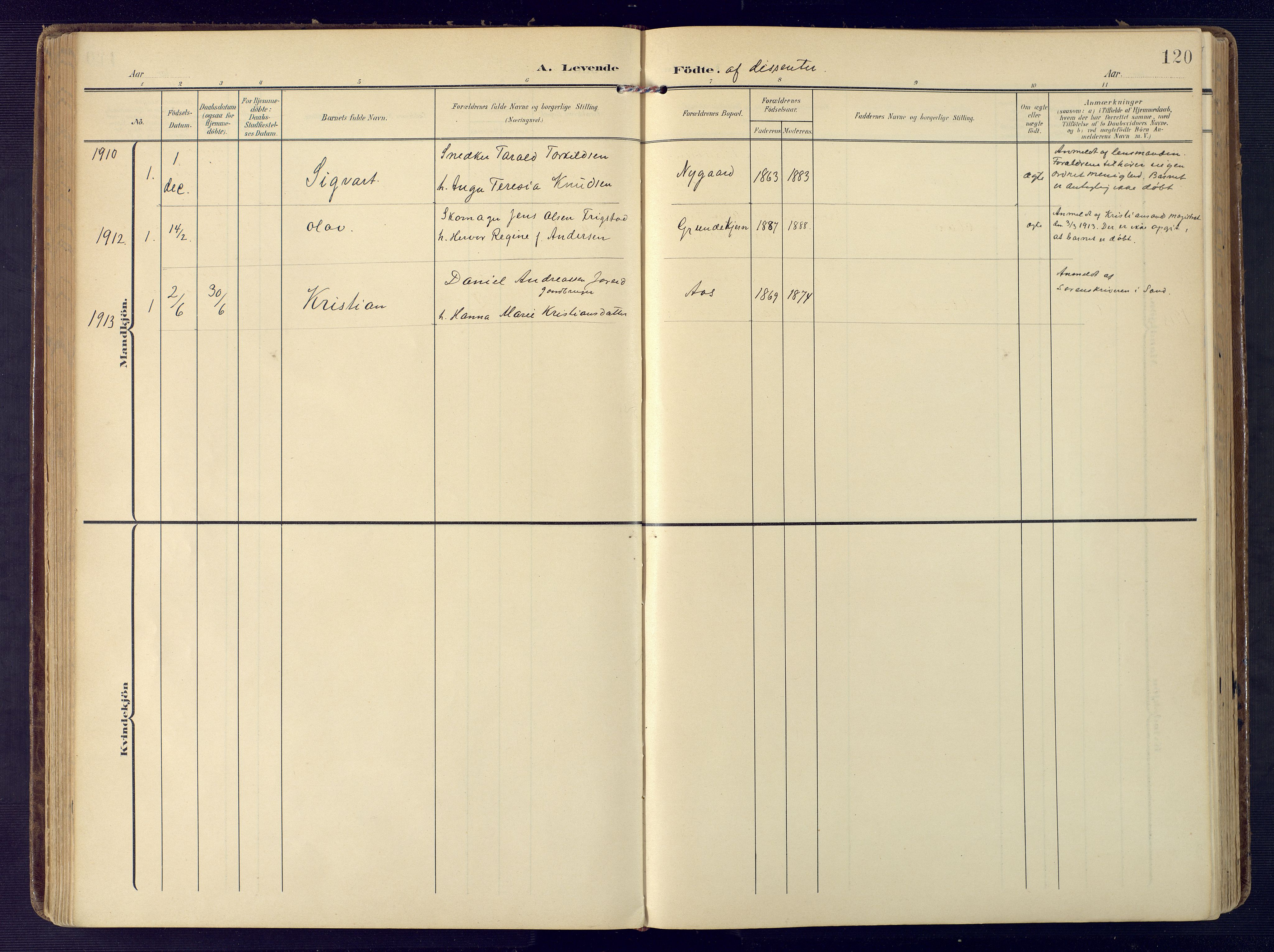 Birkenes sokneprestkontor, SAK/1111-0004/F/Fa/L0006: Parish register (official) no. A 6, 1908-1932, p. 120