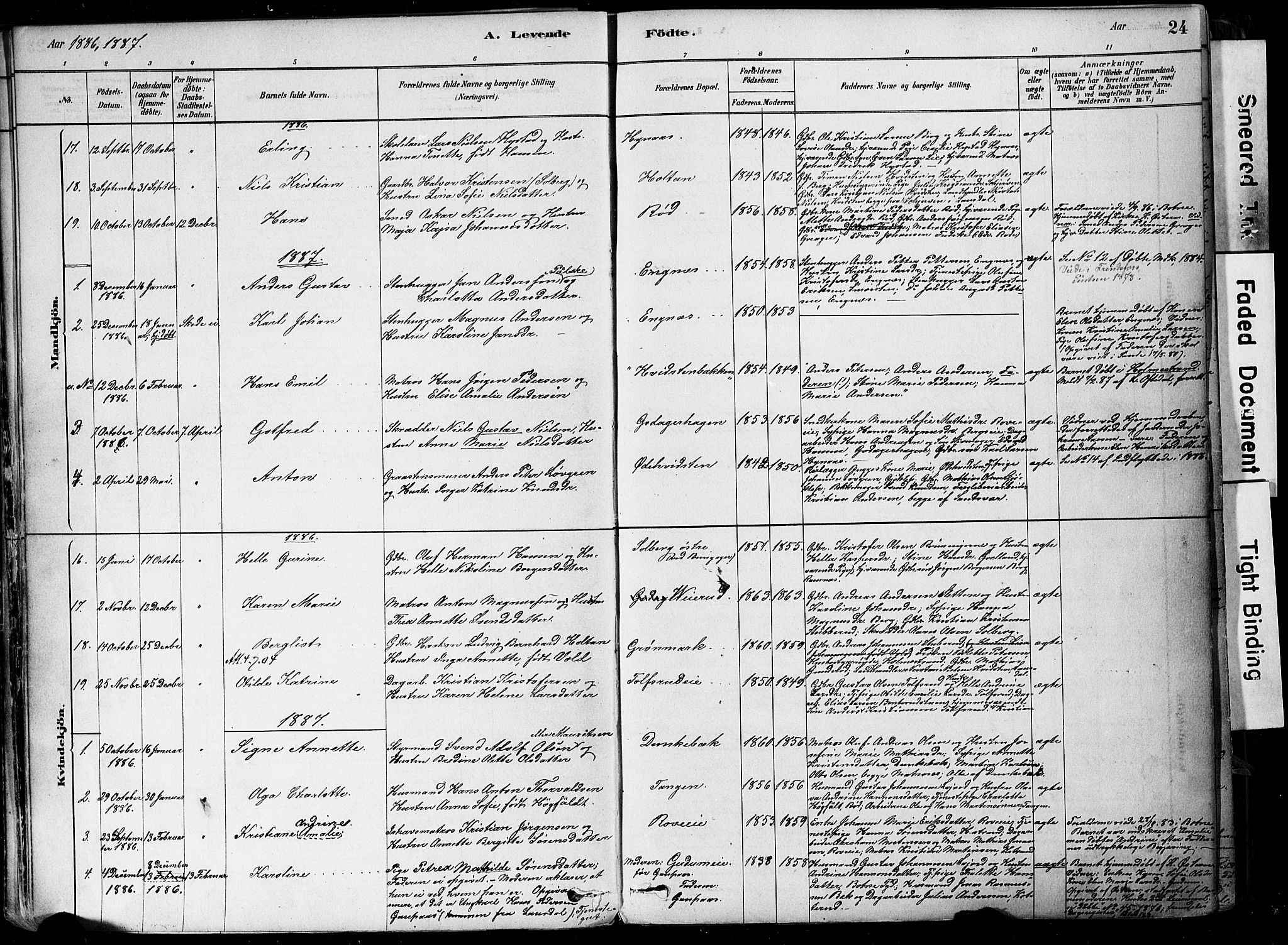 Botne kirkebøker, SAKO/A-340/F/Fa/L0007: Parish register (official) no. I 7, 1878-1910, p. 24