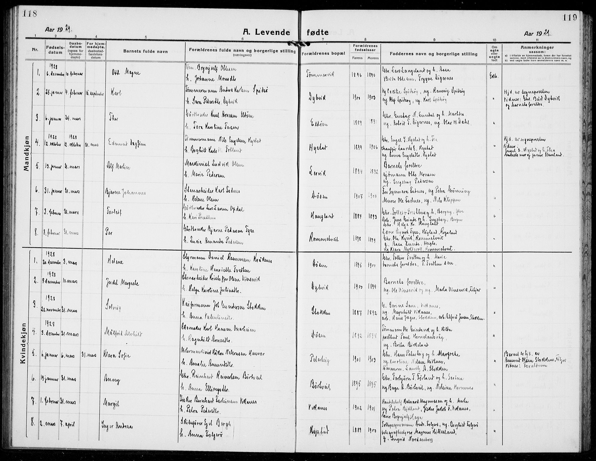 Stord sokneprestembete, AV/SAB-A-78201/H/Hab: Parish register (copy) no. A 4, 1919-1933, p. 118-119