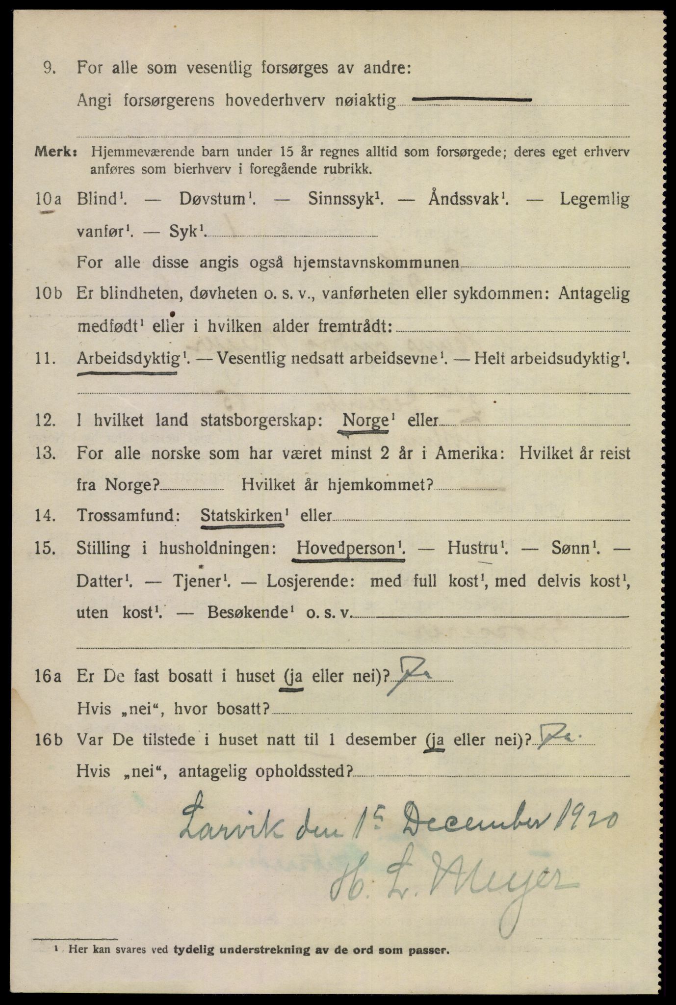 SAKO, 1920 census for Larvik, 1920, p. 30913