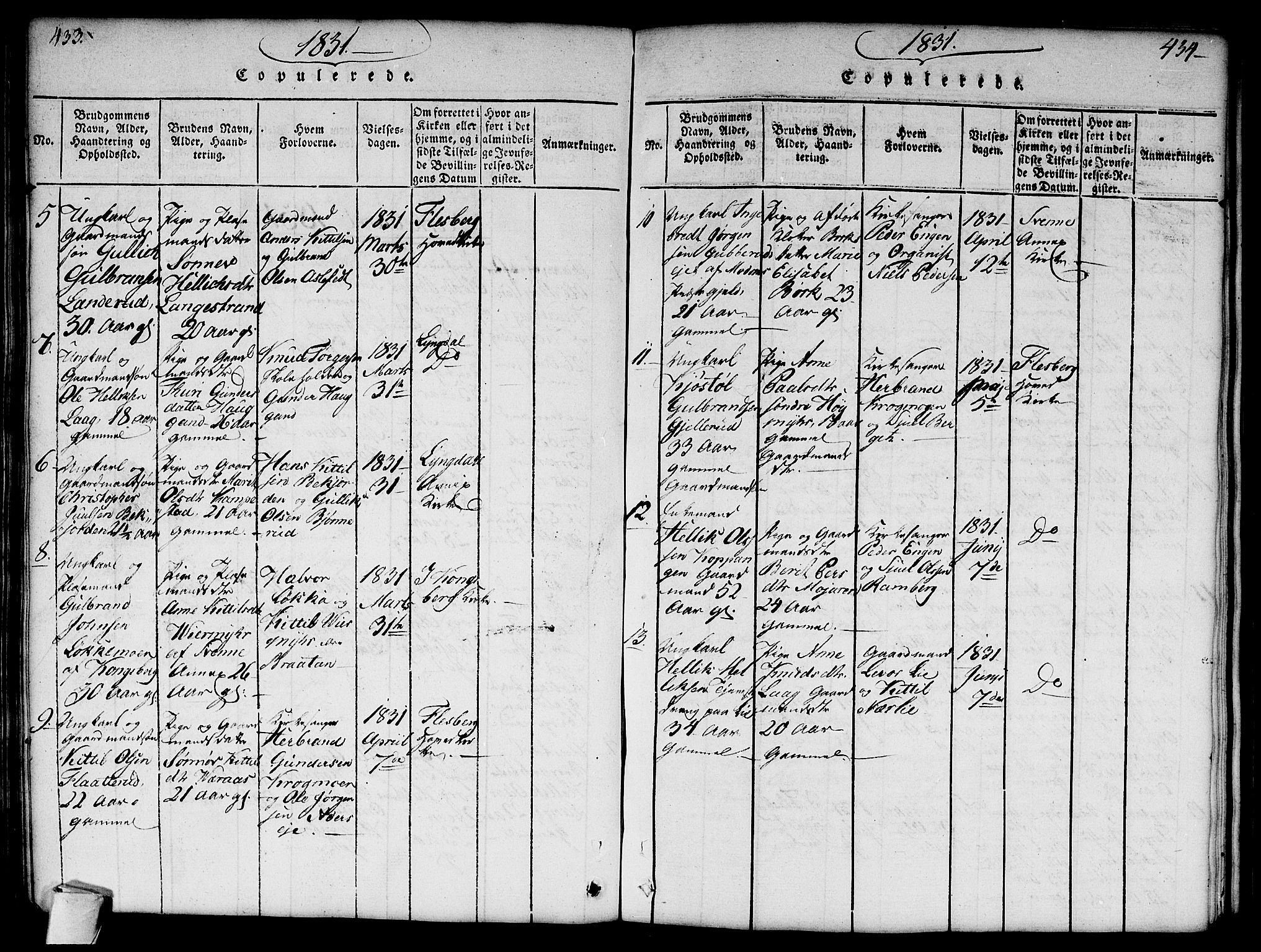 Flesberg kirkebøker, SAKO/A-18/G/Ga/L0001: Parish register (copy) no. I 1, 1816-1834, p. 433-434
