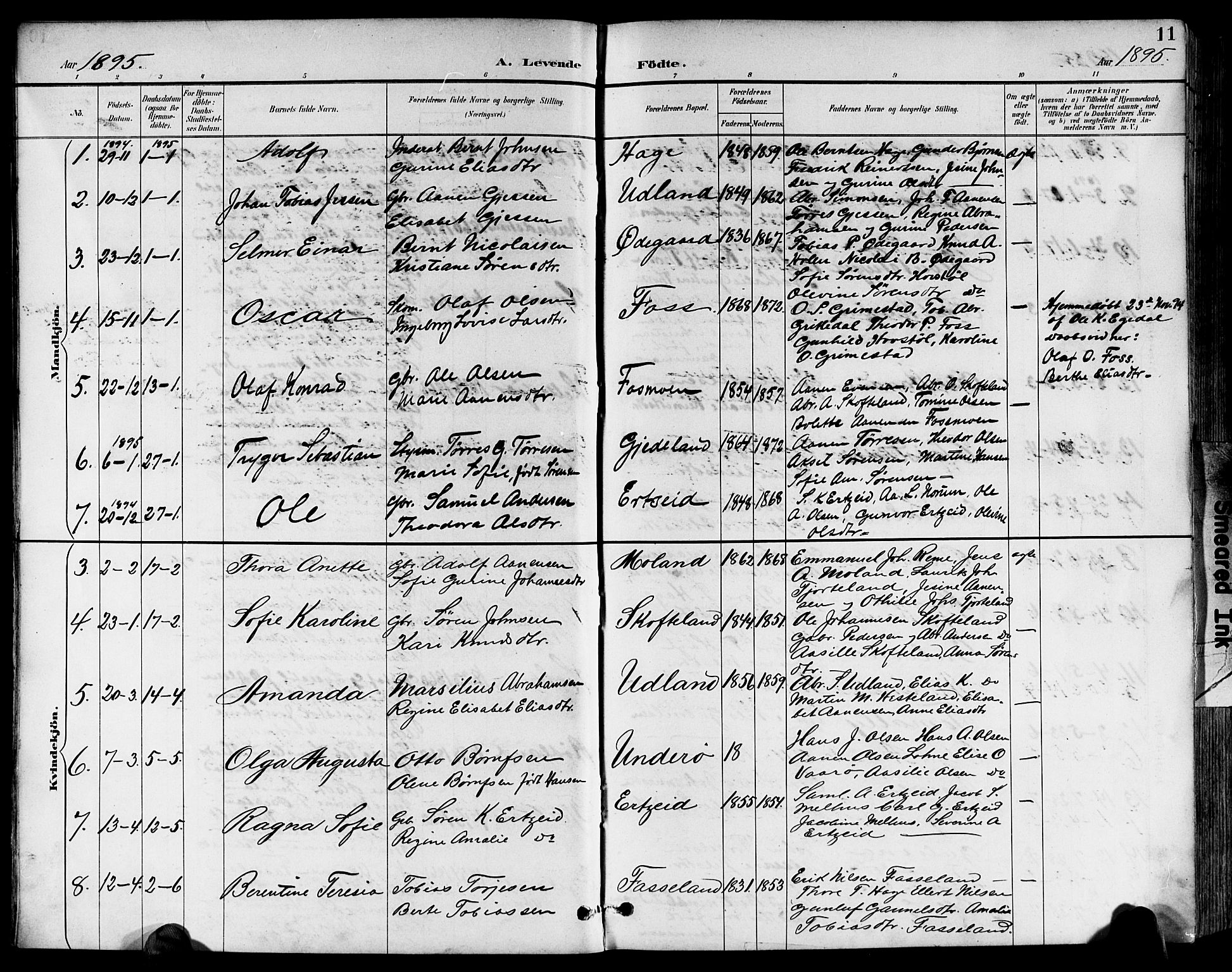 Sør-Audnedal sokneprestkontor, SAK/1111-0039/F/Fb/Fbb/L0006: Parish register (copy) no. B 6, 1893-1915, p. 11