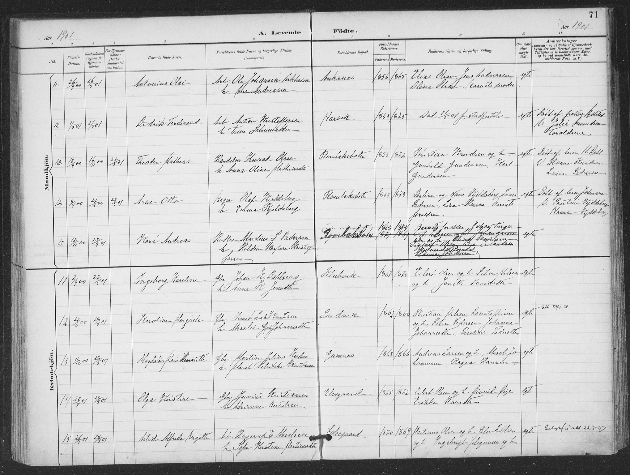 Ministerialprotokoller, klokkerbøker og fødselsregistre - Nordland, AV/SAT-A-1459/866/L0939: Parish register (official) no. 866A02, 1894-1906, p. 71