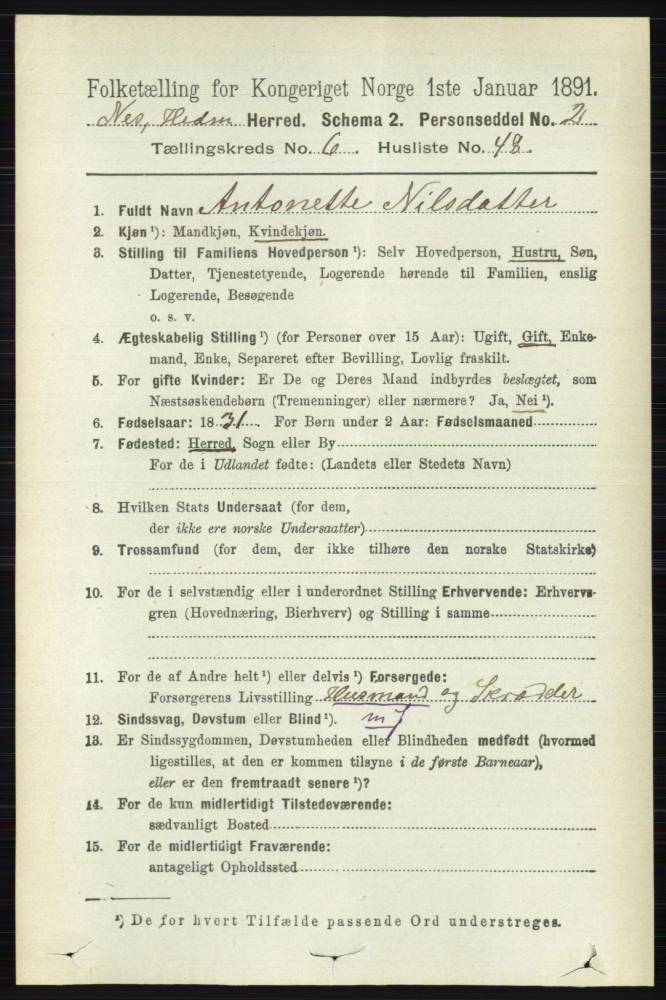 RA, 1891 census for 0411 Nes, 1891, p. 3556