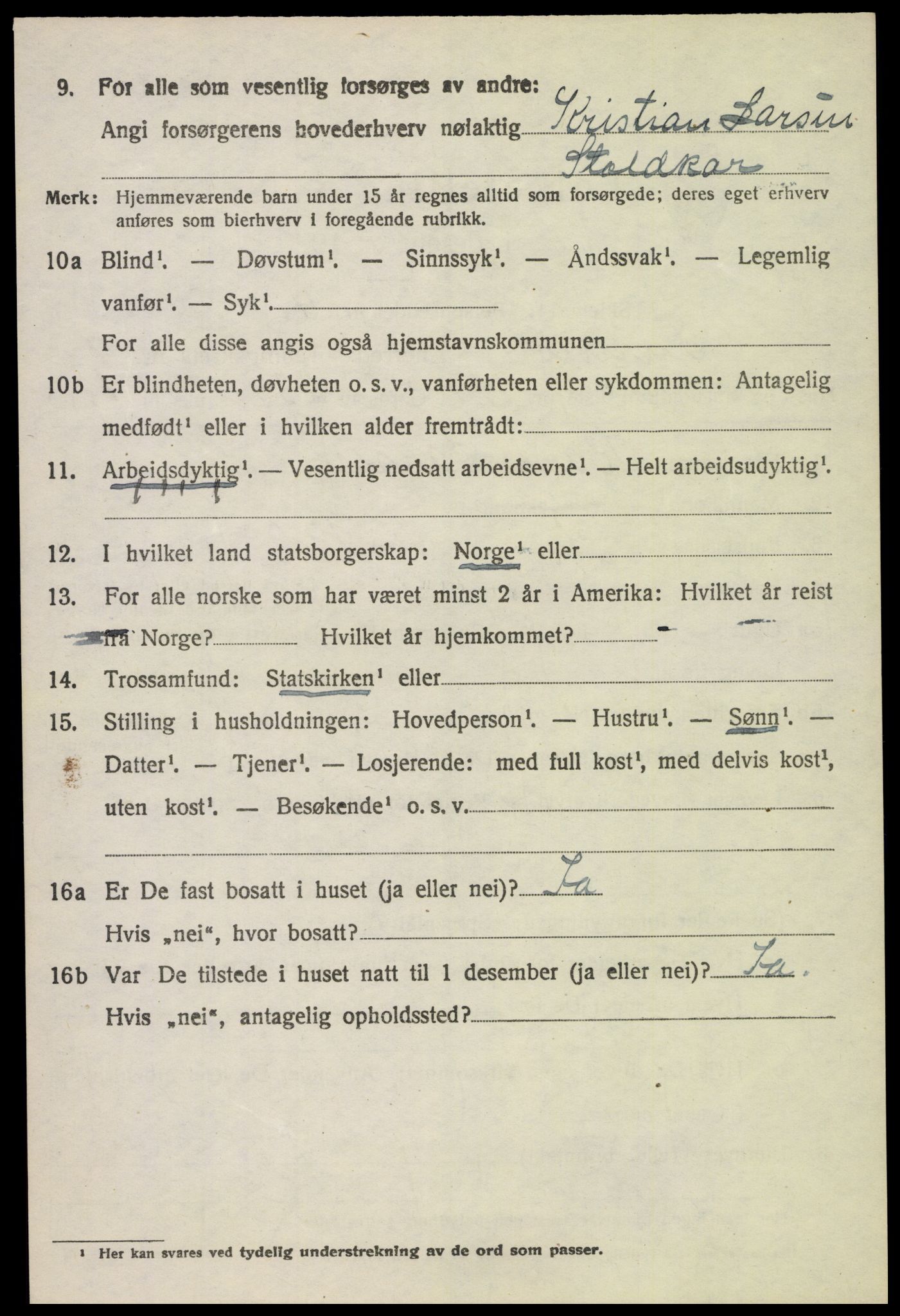 SAH, 1920 census for Furnes, 1920, p. 6960