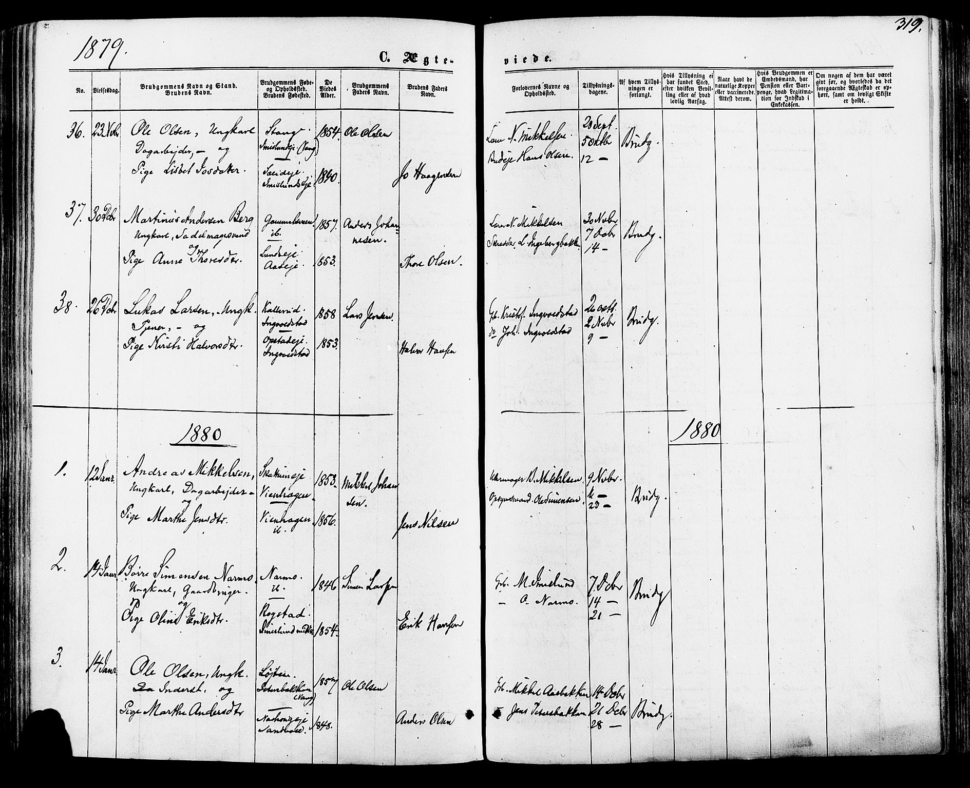 Vang prestekontor, Hedmark, SAH/PREST-008/H/Ha/Haa/L0015: Parish register (official) no. 15, 1871-1885, p. 319