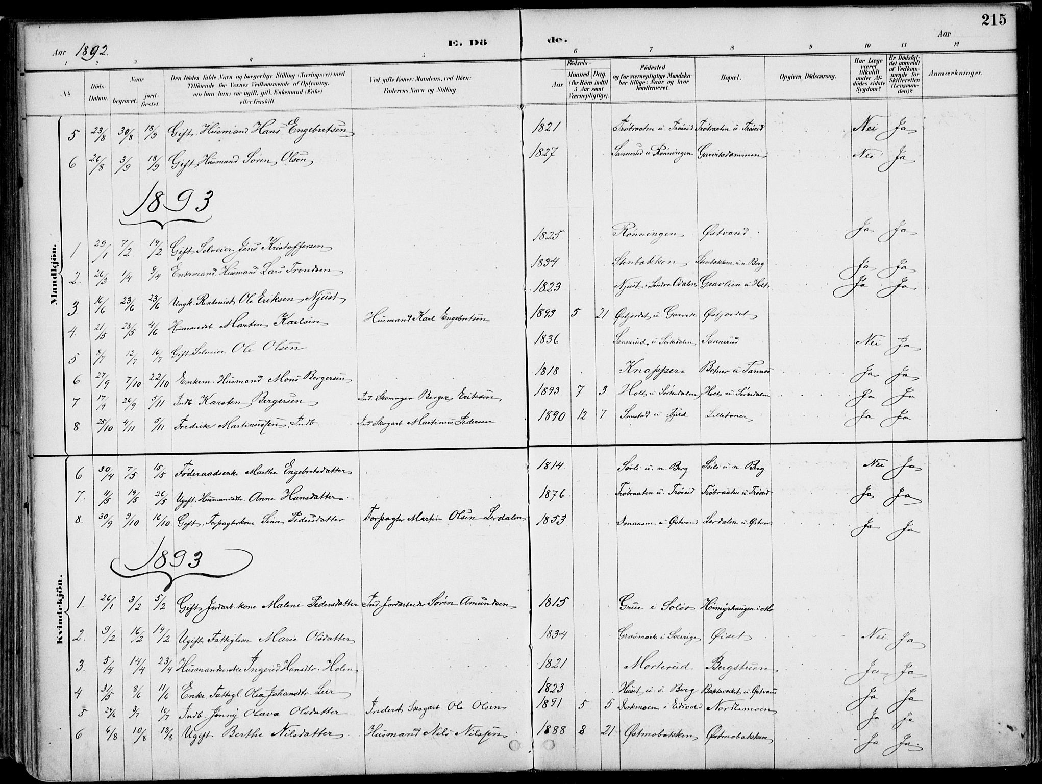 Nord-Odal prestekontor, AV/SAH-PREST-032/H/Ha/Haa/L0008: Parish register (official) no. 8, 1886-1901, p. 215