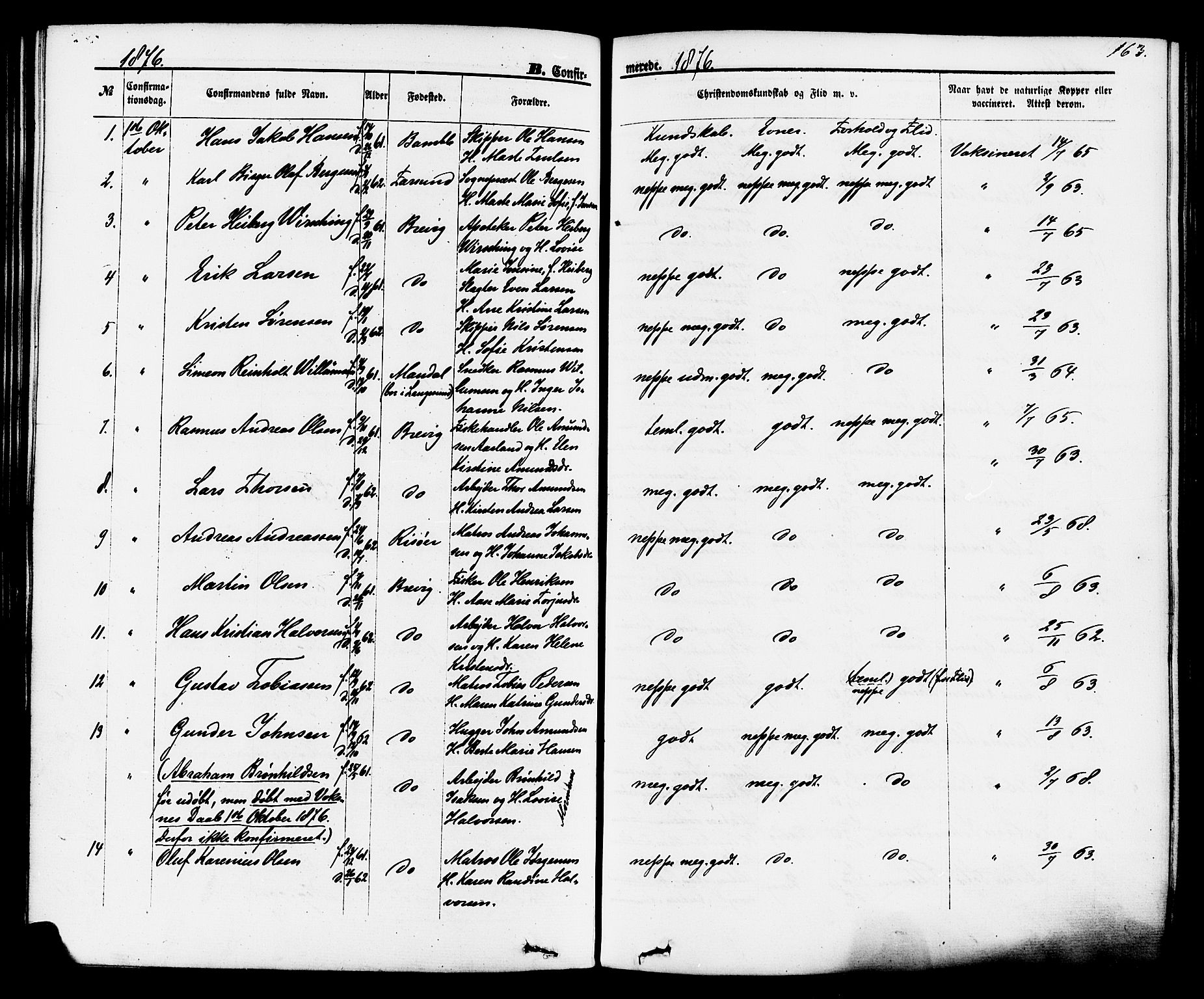Brevik kirkebøker, SAKO/A-255/F/Fa/L0006: Parish register (official) no. 6, 1866-1881, p. 163
