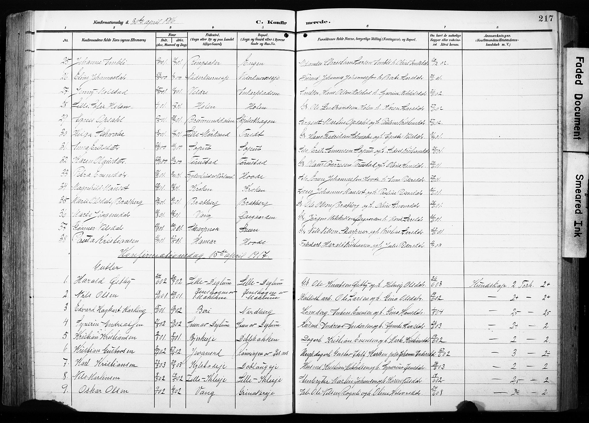 Furnes prestekontor, AV/SAH-PREST-012/L/La/L0001: Parish register (copy) no. 1, 1904-1933, p. 217