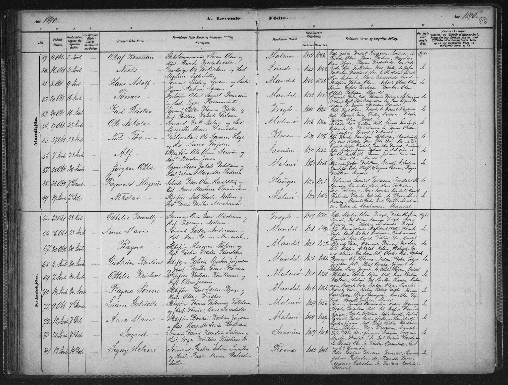 Mandal sokneprestkontor, AV/SAK-1111-0030/F/Fb/Fba/L0011: Parish register (copy) no. B 5, 1880-1898, p. 116