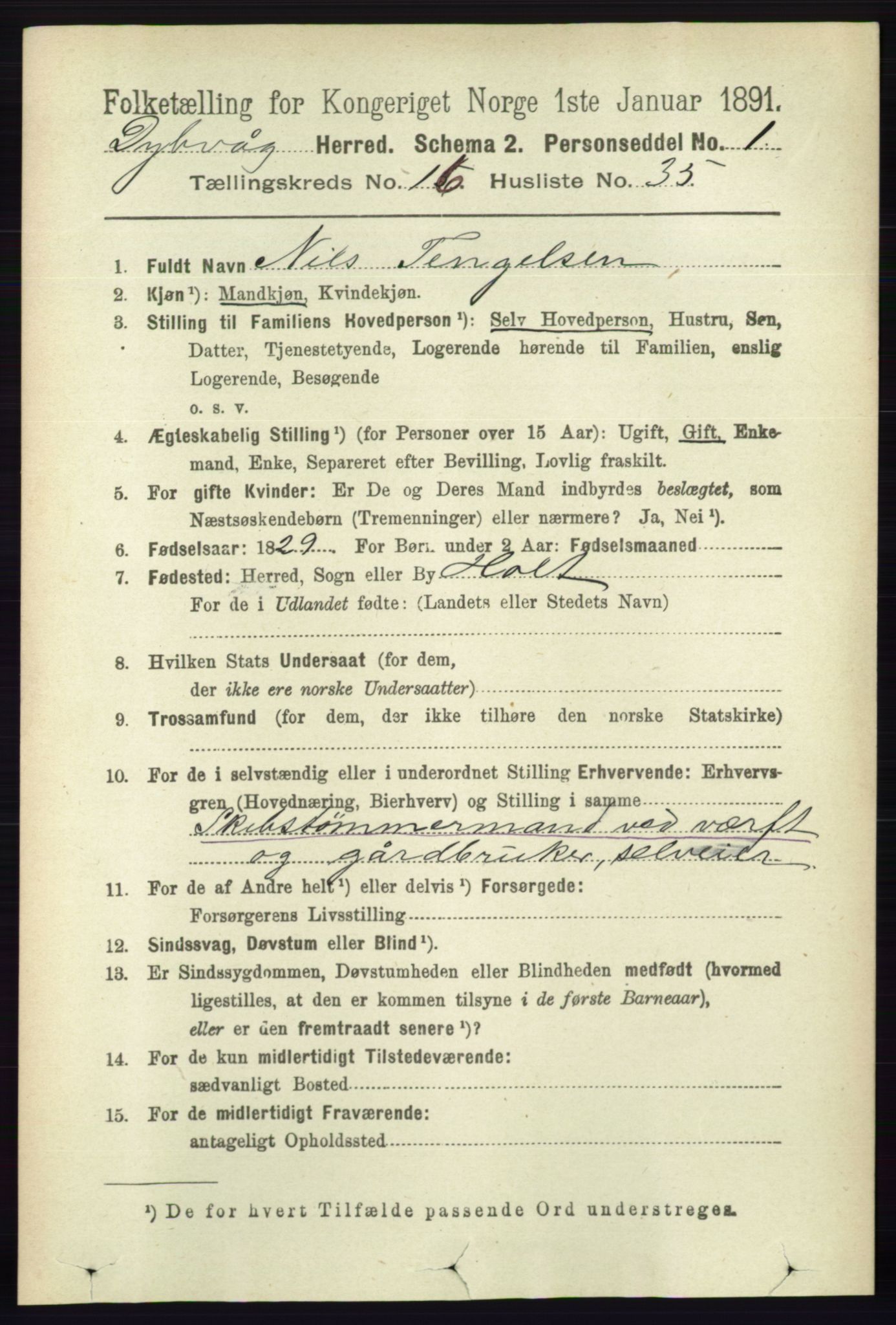 RA, 1891 census for 0915 Dypvåg, 1891, p. 6616