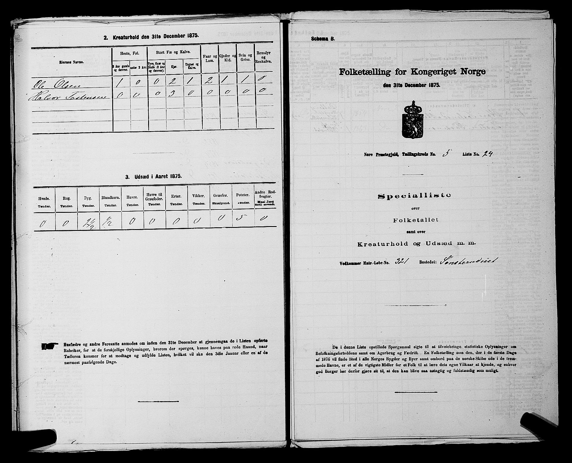 SAKO, 1875 census for 0633P Nore, 1875, p. 703