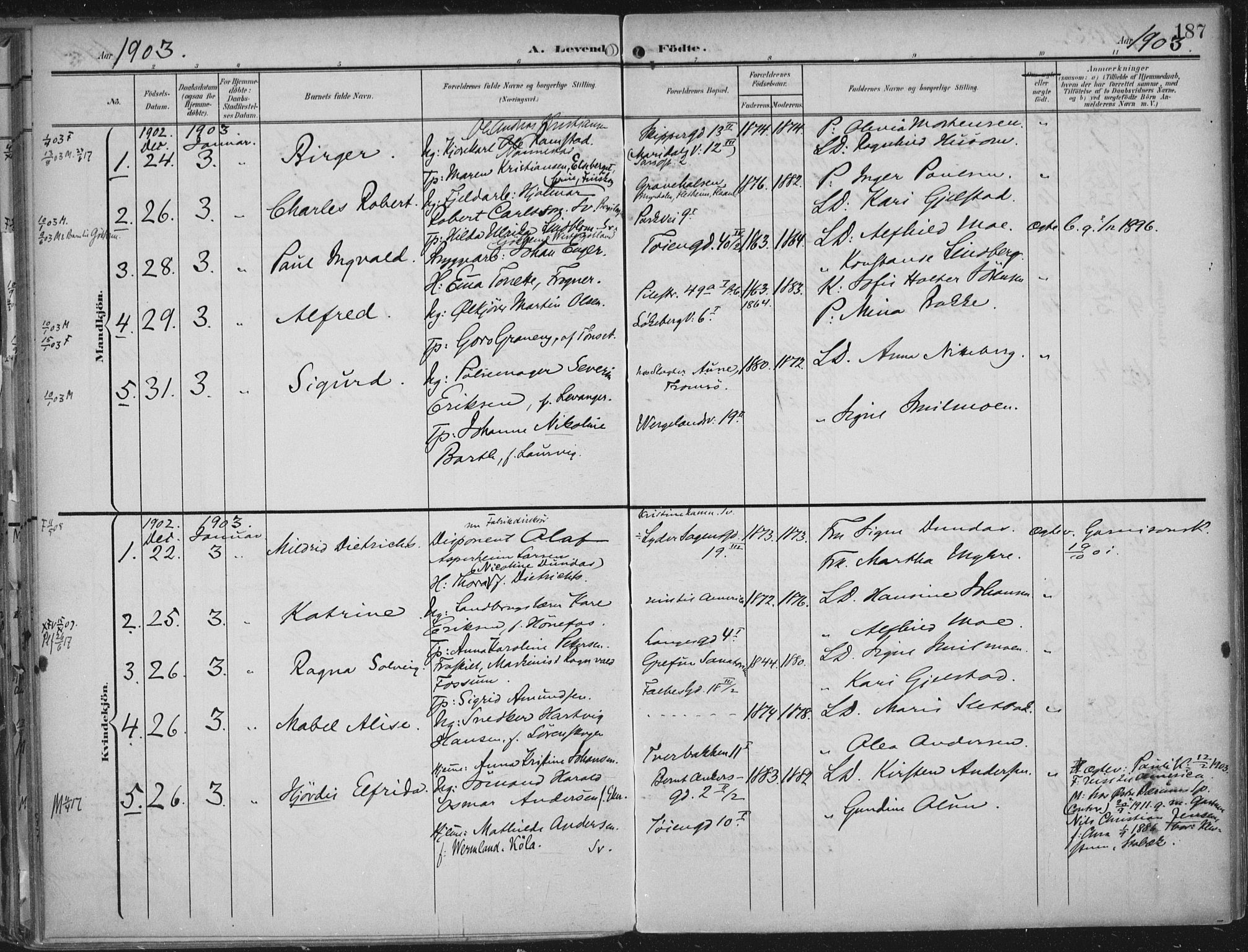 Rikshospitalet prestekontor Kirkebøker, AV/SAO-A-10309b/F/L0012: Parish register (official) no. 12, 1901-1904, p. 187