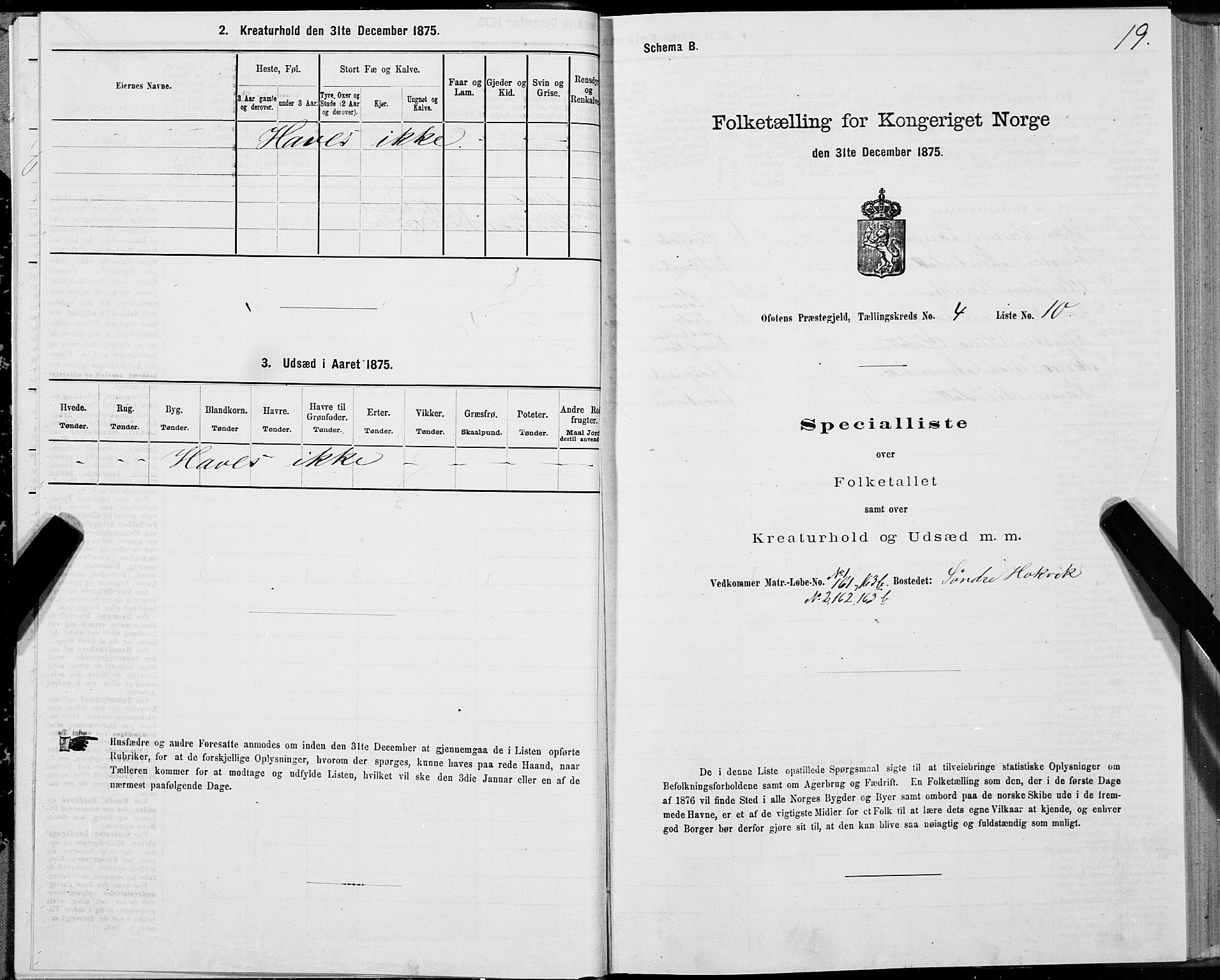 SAT, 1875 census for 1853P Ofoten, 1875, p. 3019