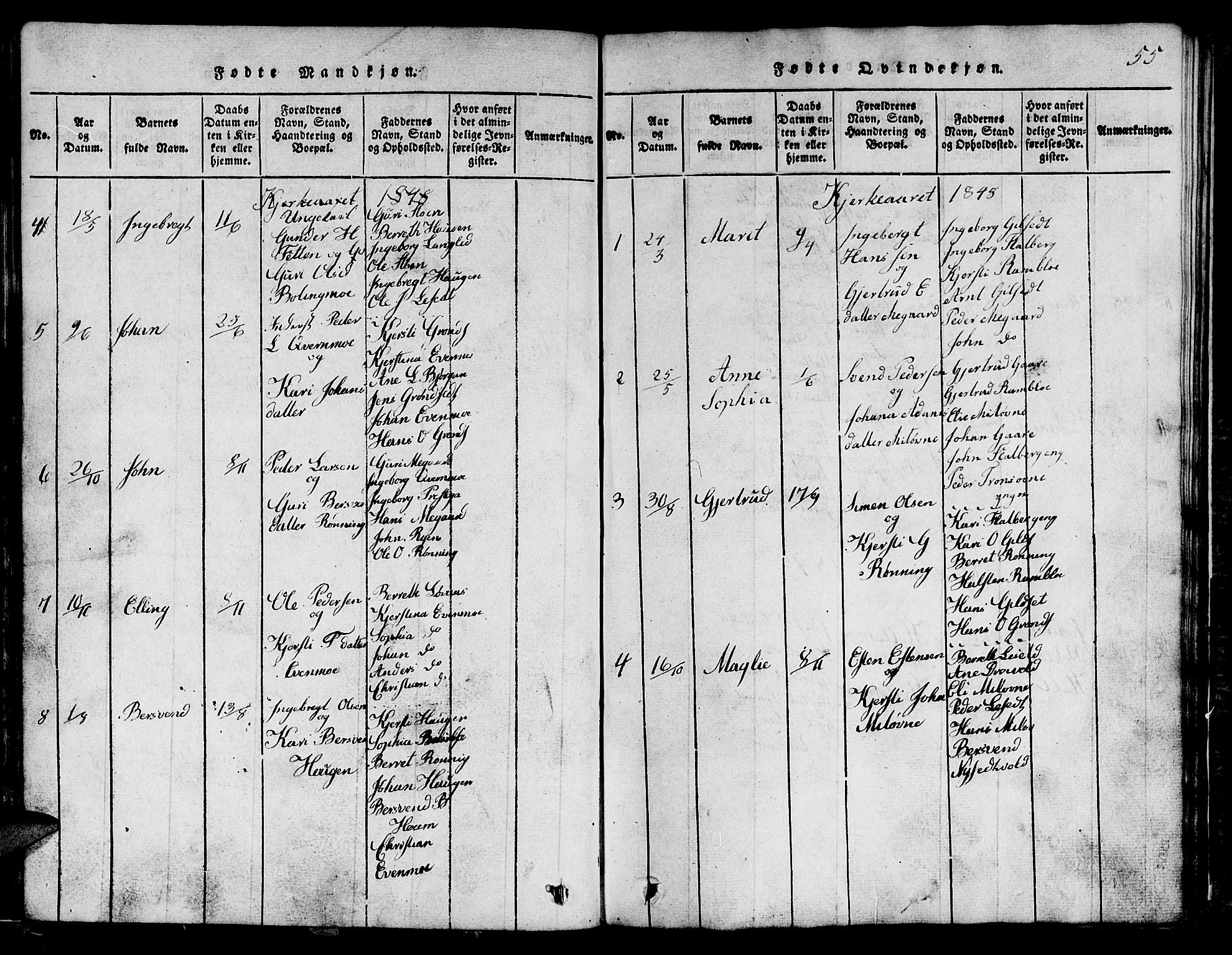 Ministerialprotokoller, klokkerbøker og fødselsregistre - Sør-Trøndelag, SAT/A-1456/685/L0976: Parish register (copy) no. 685C01, 1817-1878, p. 55